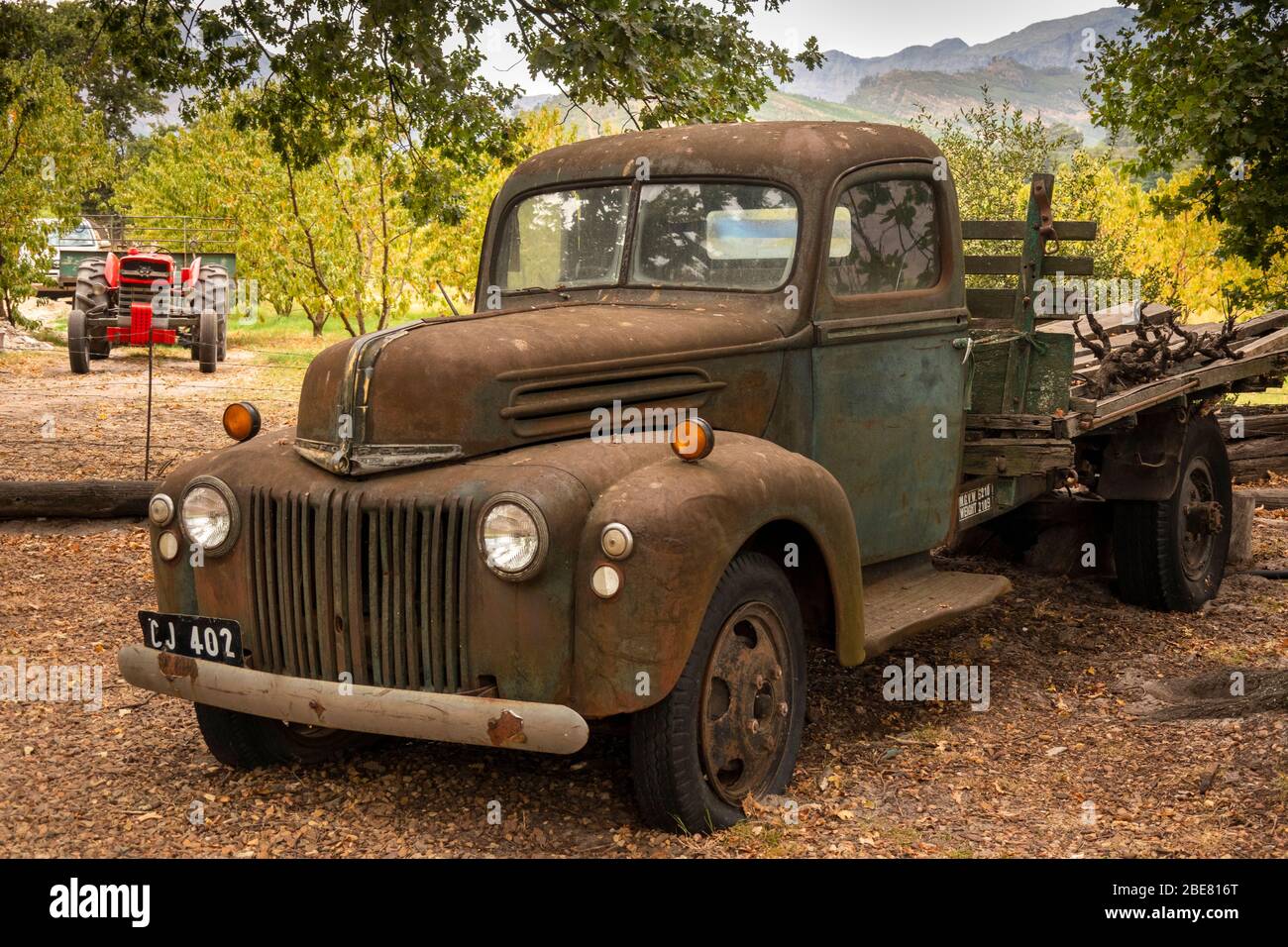 Afrique du Sud; Franschhoek; la Motte. Eikehof Winery, ancien camion Ford Cape Ruby 1942 rouillé Banque D'Images
