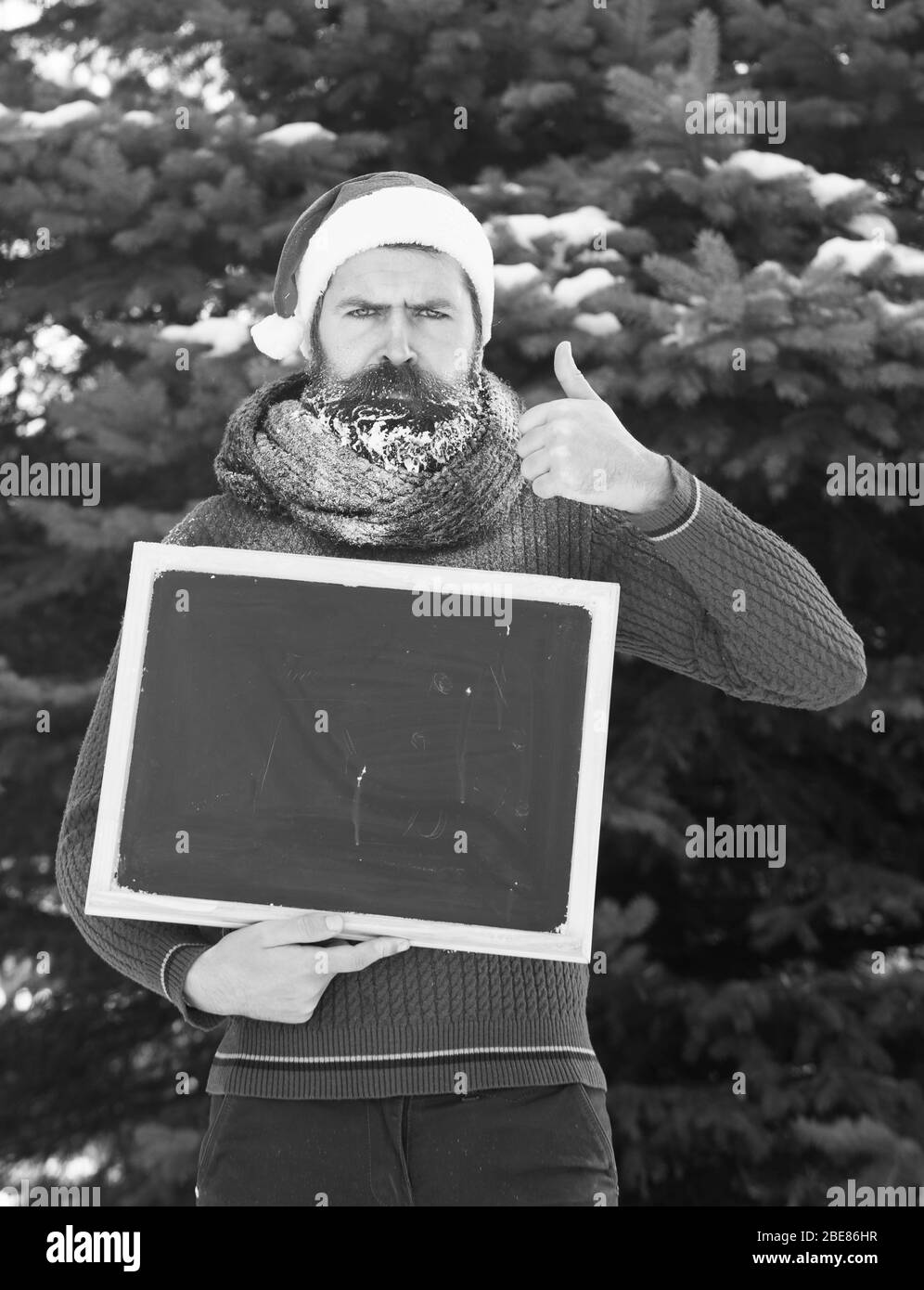 L'homme fronce dans santa claus hat, hipster avec barbe et moustache recouverte de givre, avec tableau noir ou tableau blanc donne Thumbs up geste sur journée d'hiver sur fond naturel, copy space Banque D'Images L'homme fronce dans santa claus hat, hipster avec barbe et moustache recouverte de givre, avec tableau noir ou tableau blanc donne Thumbs up geste sur journée d'hiver sur fond naturel, copy space Banque D'Images