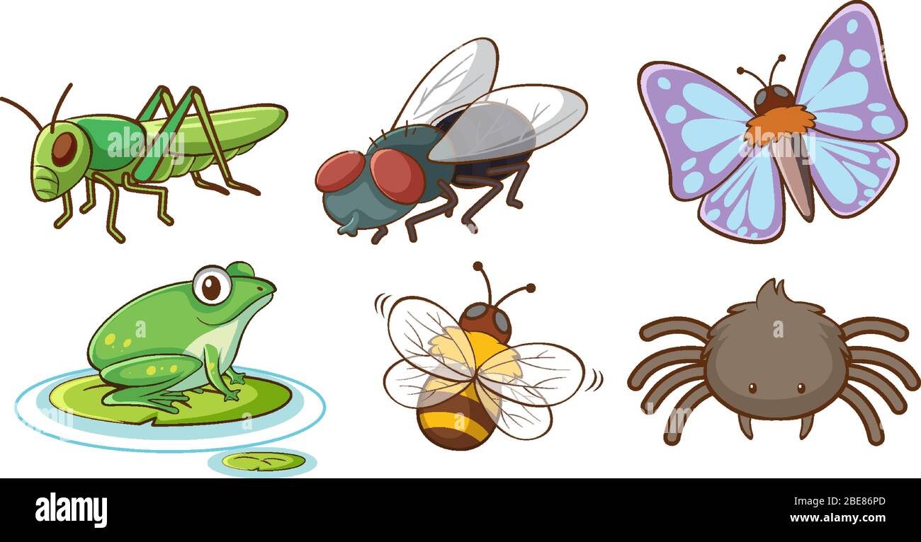 Grand jeu d'insectes différents sur fond blanc illustration Illustration de Vecteur