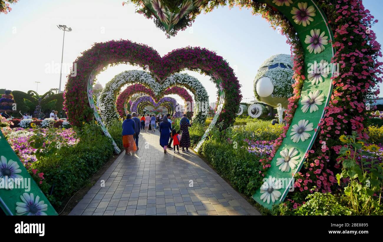 Dubaï, Émirats arabes Unis - 14 décembre 2019 : parterres fleuries en forme de coeur à l'Allée des coeurs. Le jardin Miracle de Dubaï est célèbre pour sa fleur extraordinaire Banque D'Images