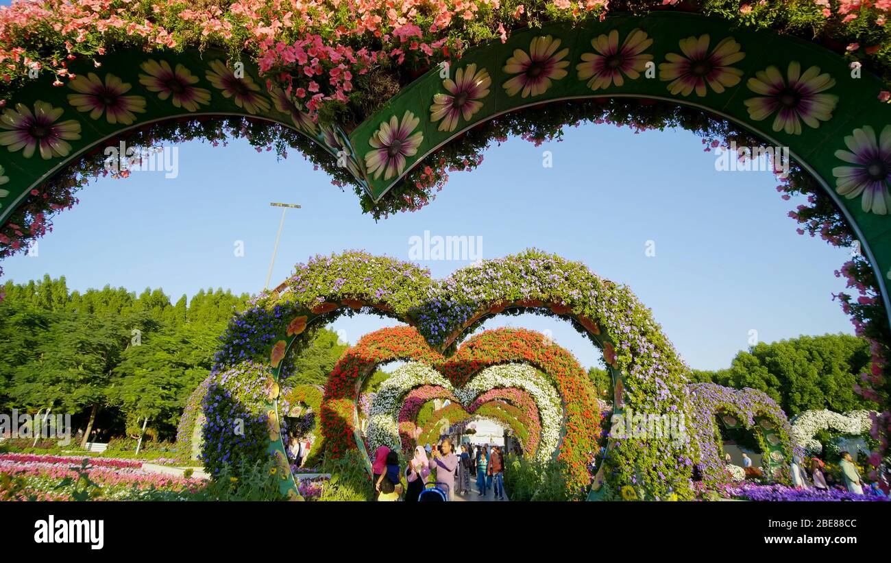 Dubaï, Émirats arabes Unis - 14 décembre 2019 : parterres fleuries en forme de coeur à l'Allée des coeurs. Le jardin Miracle de Dubaï est célèbre pour sa fleur extraordinaire Banque D'Images