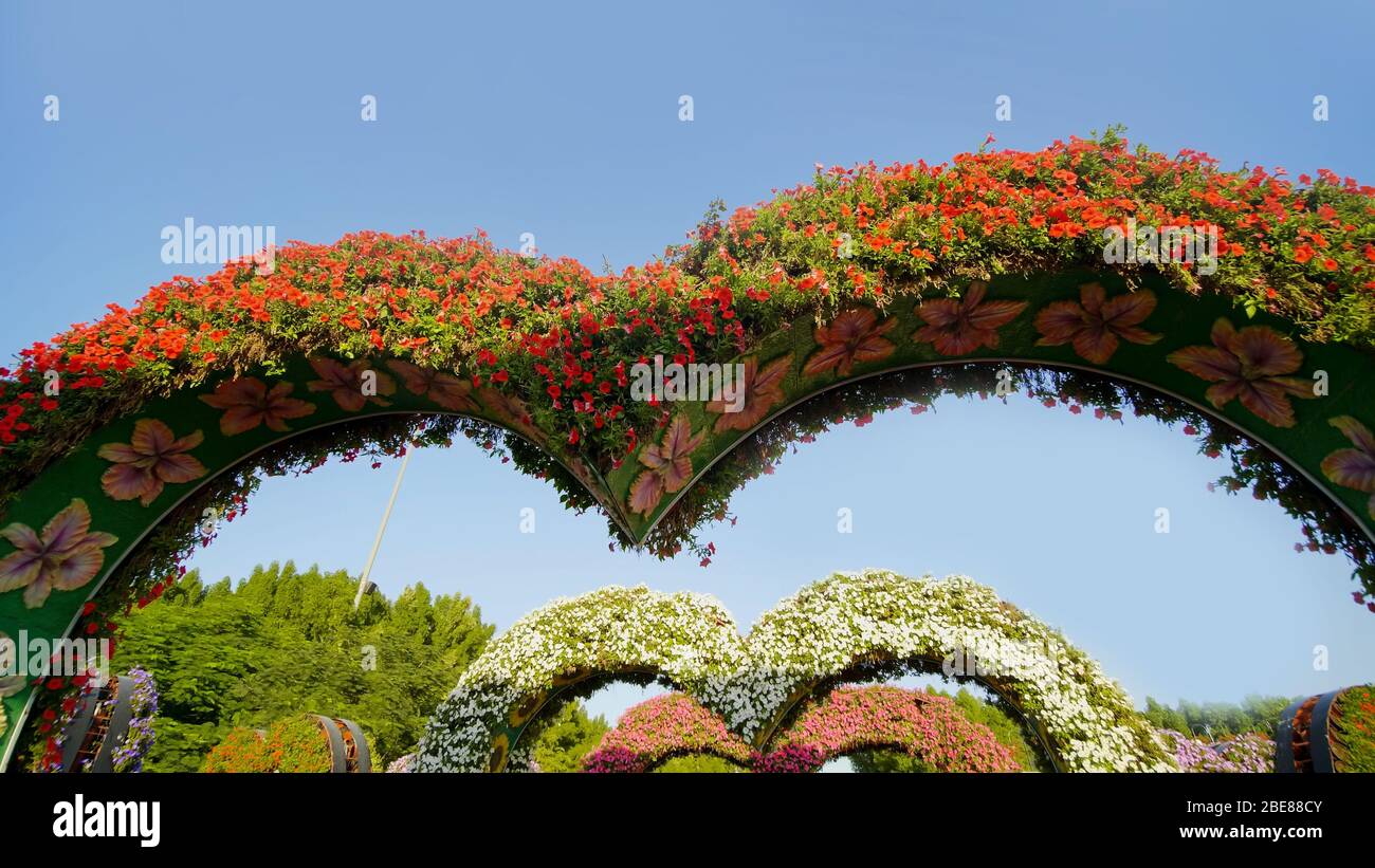 Parterres de fleurs en forme de coeur à l'Allée de coeurs. Banque D'Images