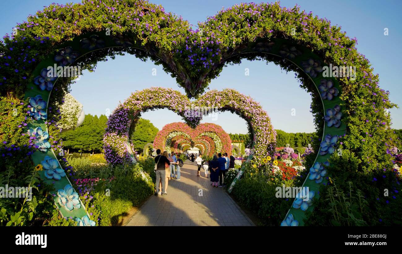 Dubaï, Émirats arabes Unis - 14 décembre 2019 : parterres fleuries en forme de coeur à l'Allée des coeurs. Le jardin Miracle de Dubaï est célèbre pour sa fleur extraordinaire Banque D'Images