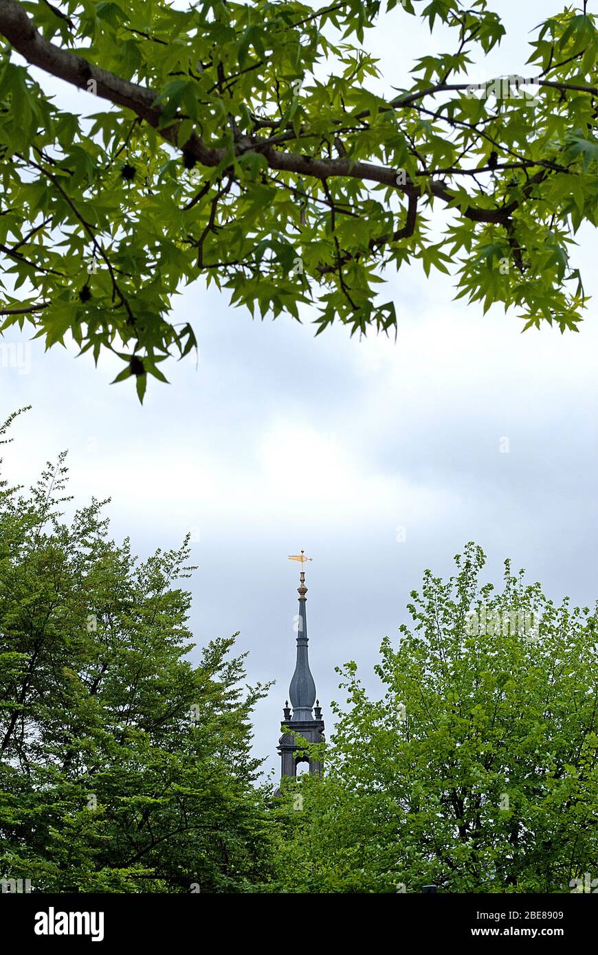 Pierre baroque classique française Diocèse classique de la cathédrale Saint-Paul de Londres, Ludgate Hill, Londres 8 après Jésus-Christ, architecte Sir Christopher Wren Banque D'Images