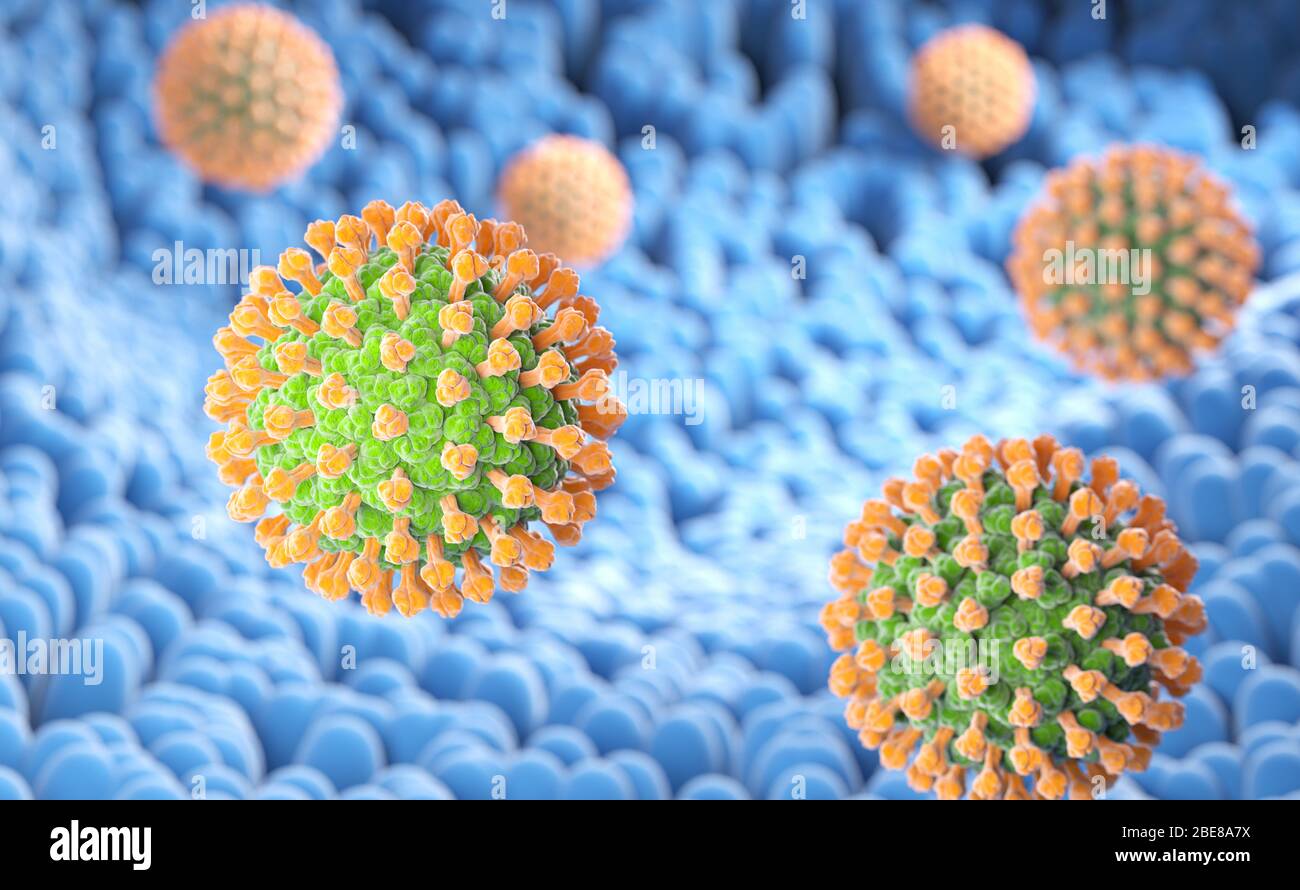 Bactéries rotavirus sur la surface des microvillosités du système digestif. Illustration tridimensionnelle Banque D'Images