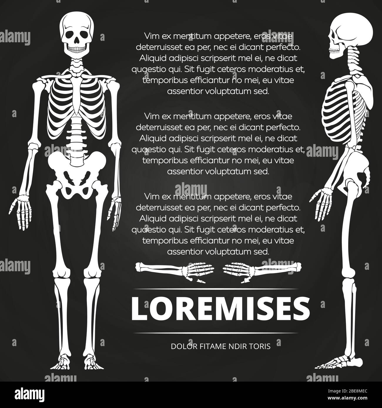 Affiche de tableau de surveillance avec des squelettes et des os humains. Squelette vecteur d'illustration humaine Illustration de Vecteur