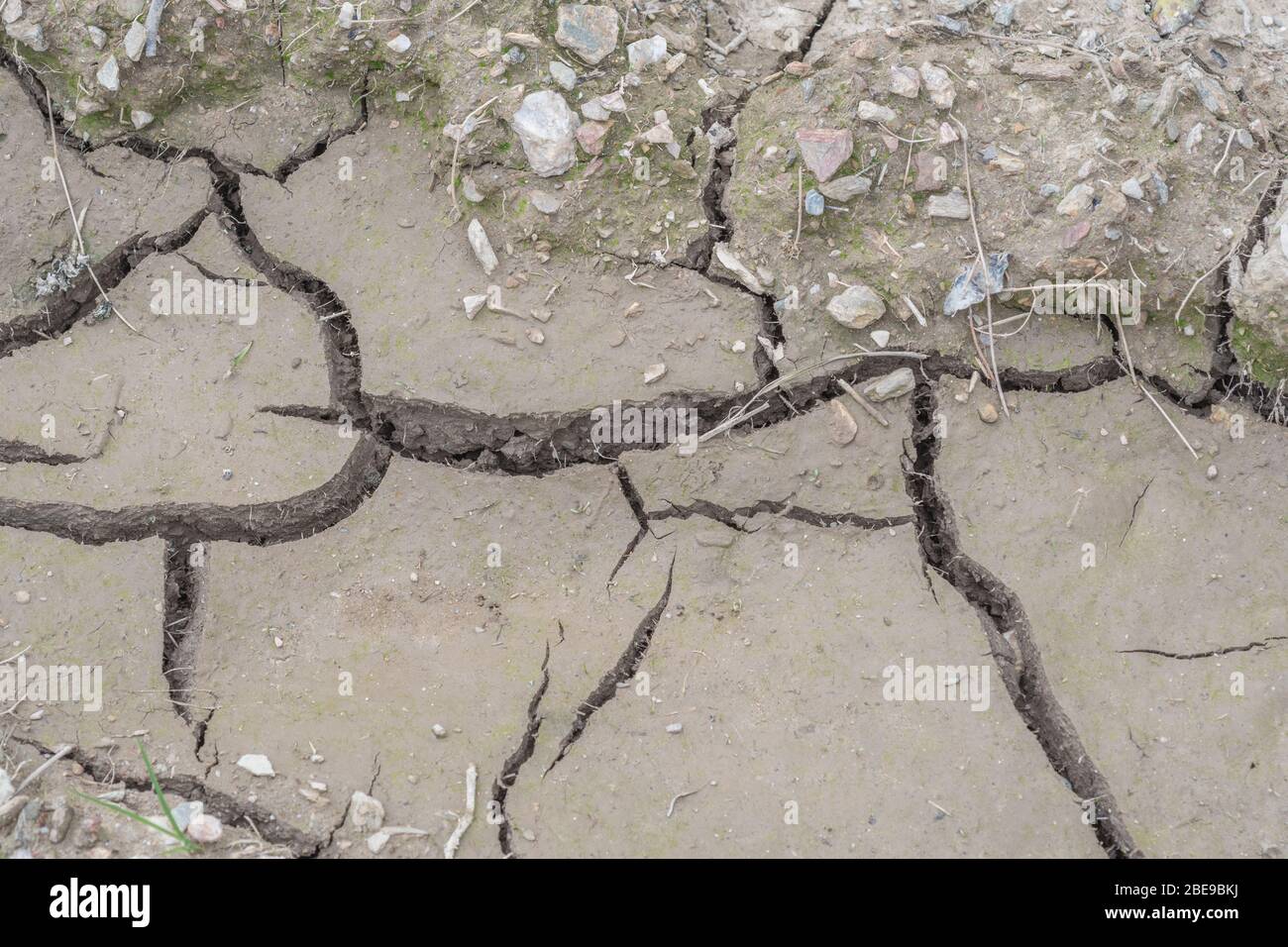 Fissures profondes dans le séchage du sol boueux des terres agricoles. Pour les fissures politiques, les pénuries d'eau, les fissures de rétrécissement du sol, la perte d'eau, l'ingénierie du sol, Sécheresse au Royaume-Uni. Banque D'Images