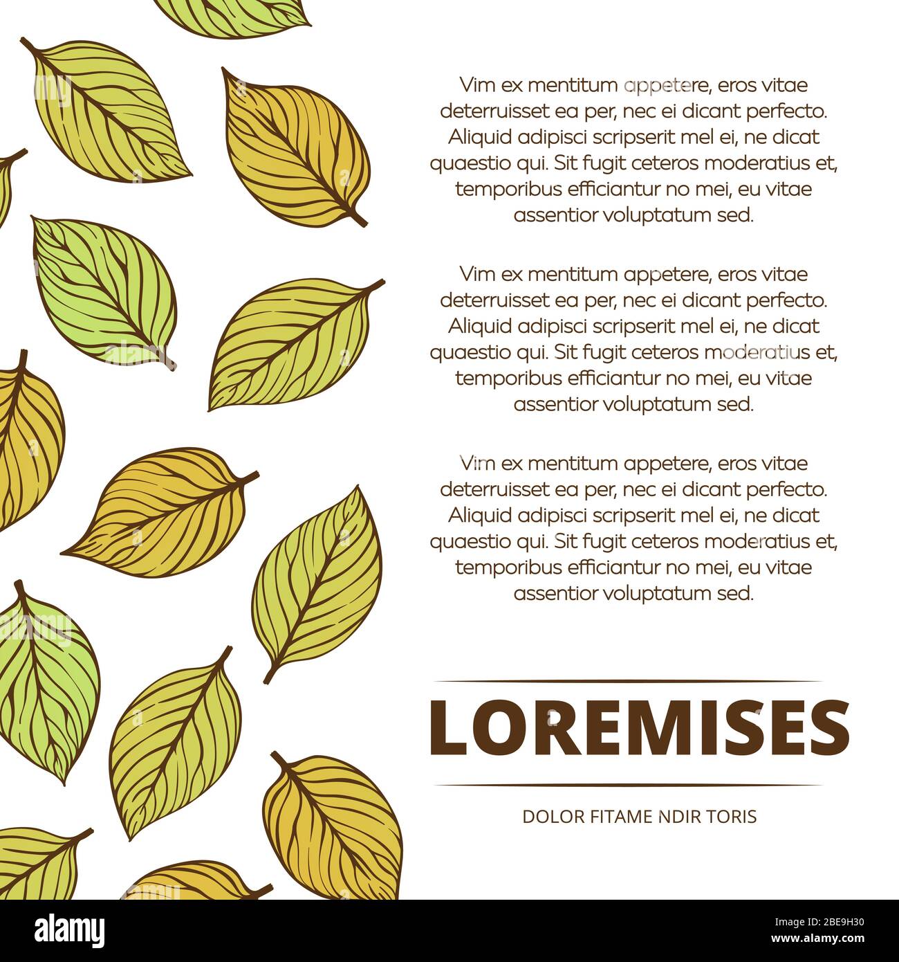 Affiche de bannière naturelle avec feuilles de gribouille colorées. Illustration vectorielle Illustration de Vecteur