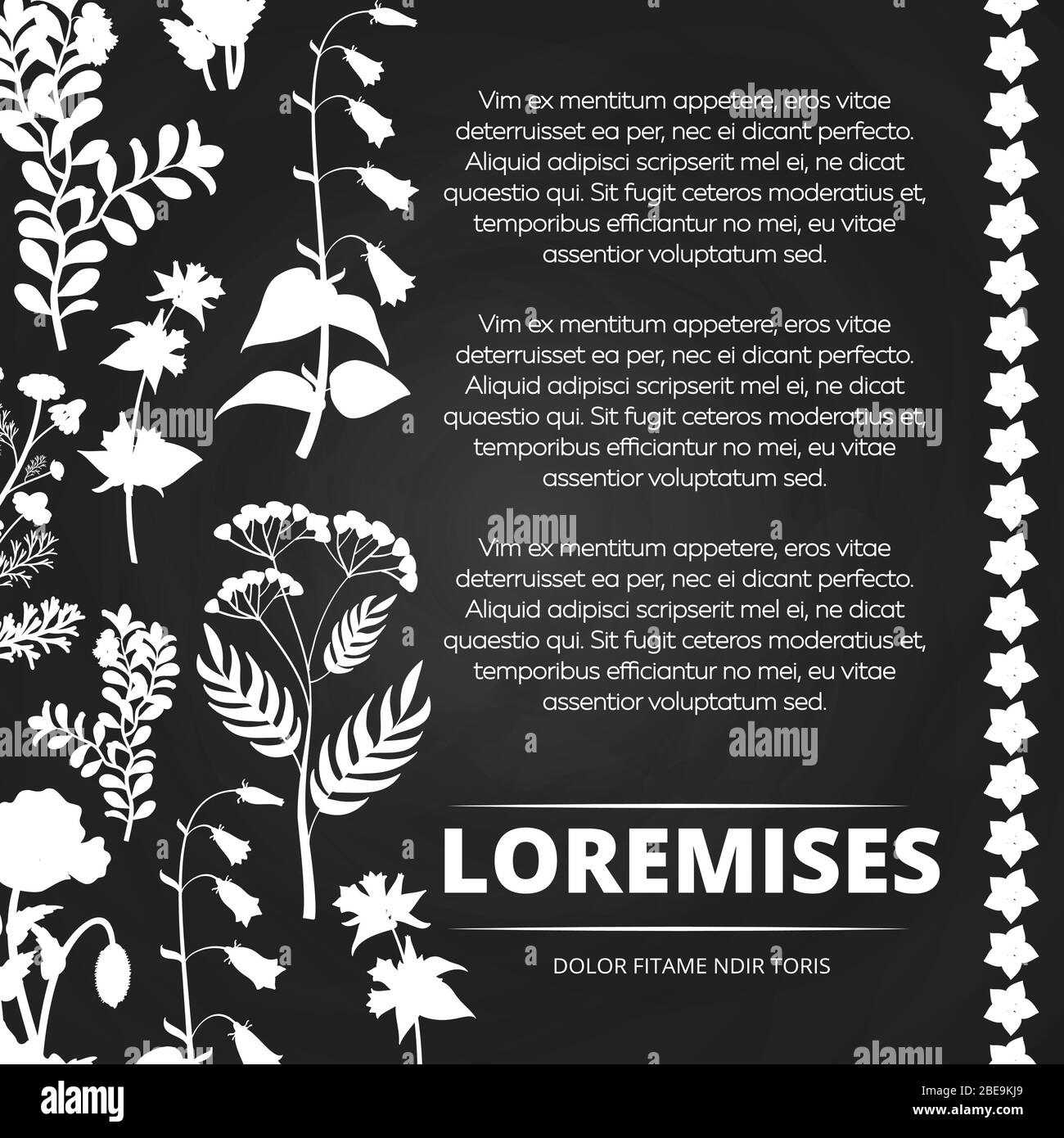 Imprimé chalkboard et silhouettes fleuries. Bannière fleurie monochrome. Illustration vectorielle Illustration de Vecteur