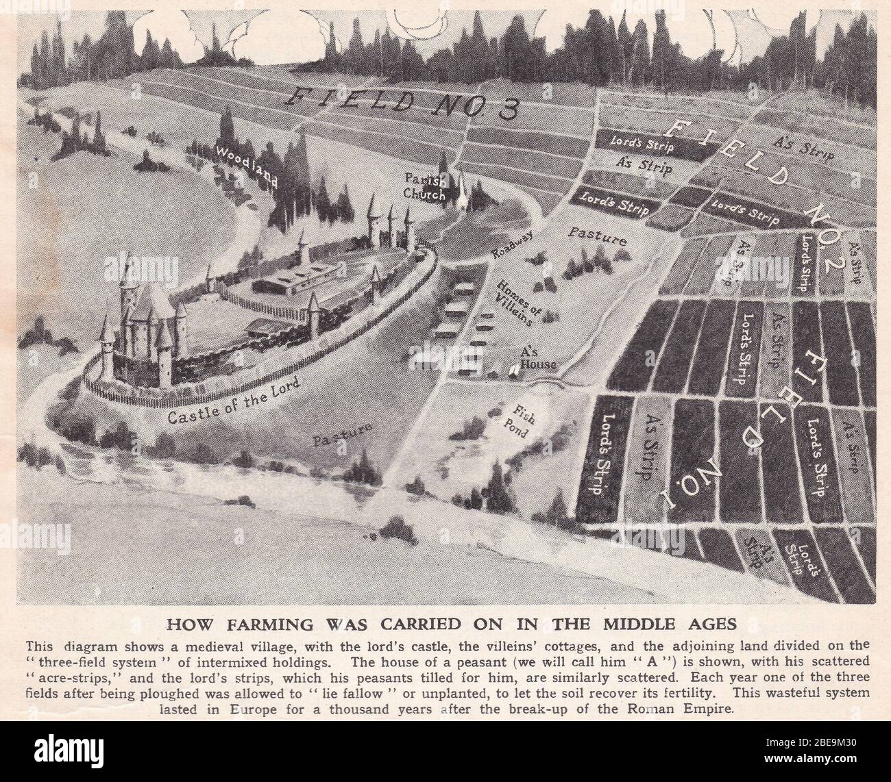 Illustration vintage des années 1930 de la façon dont l'agriculture a été pratiquée au Moyen âge. Banque D'Images