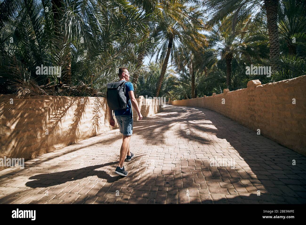 Jeune voyageur solo marchant au milieu de palmiers. Oasis dans le désert à Al Ain, Emirat Abu Dhabi, Emirats Arabes Unis Banque D'Images