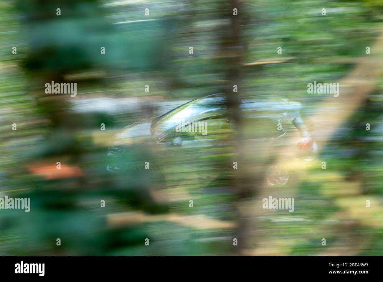 panoramique d'une voiture photographiée à travers les arbres Banque D'Images