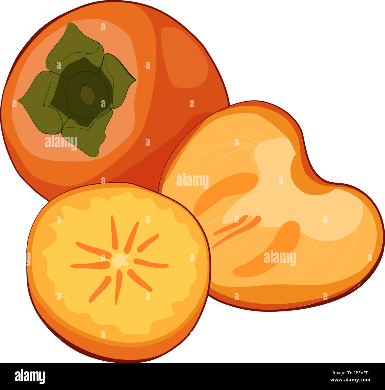 Illustration vectorielle de fruits jaunes mûrs juteux. Persimmon orange rond avec feuilles vertes. Gros plan sur le kaki frais . Illustration de Vecteur