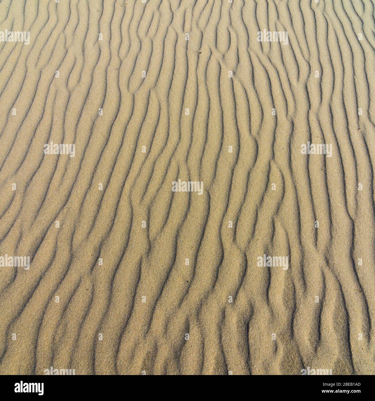 Contours ondulés dans le sable. La mer a façonné la plage en lignes à travers les vagues. Banque D'Images