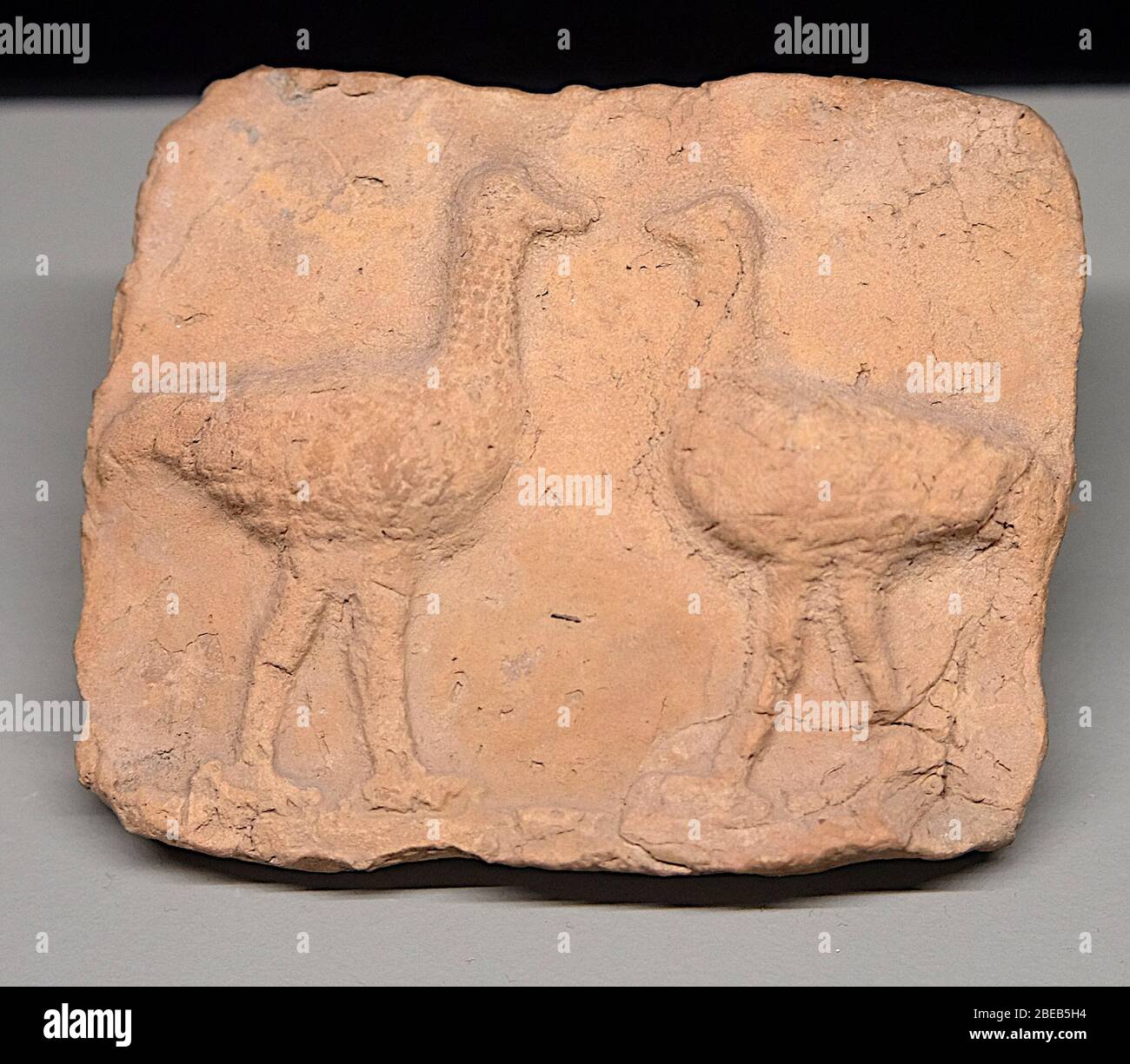 1600 Av Banque D Image Et Photos Alamy