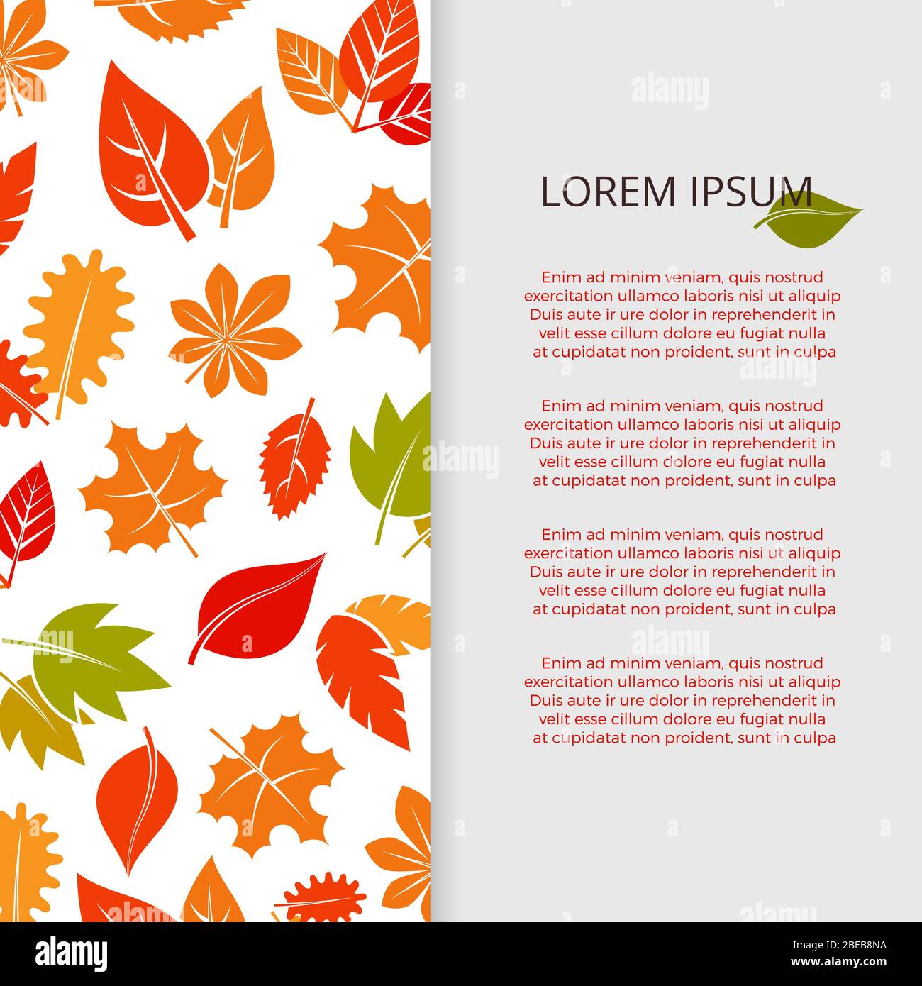 Imprimé feuilles d'automne - affiche de feuillage colorée. Automne de feuilles vectorielles, illustration de la carte de saison de feuillage orange Illustration de Vecteur