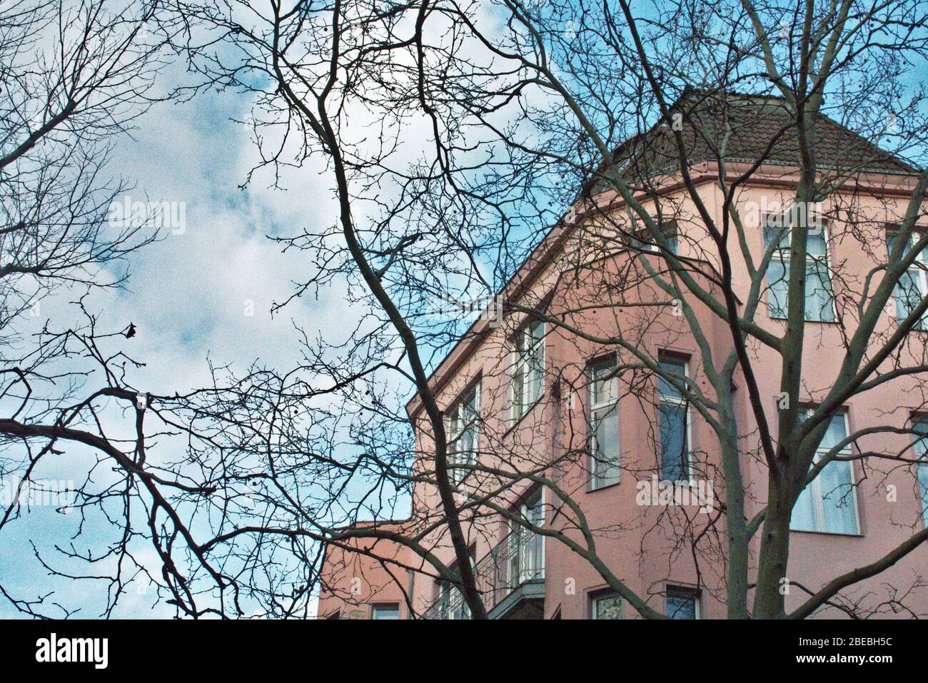 Branches d'arbres devant le bâtiment d'appartements rose à Charlottenburg Berlin Banque D'Images