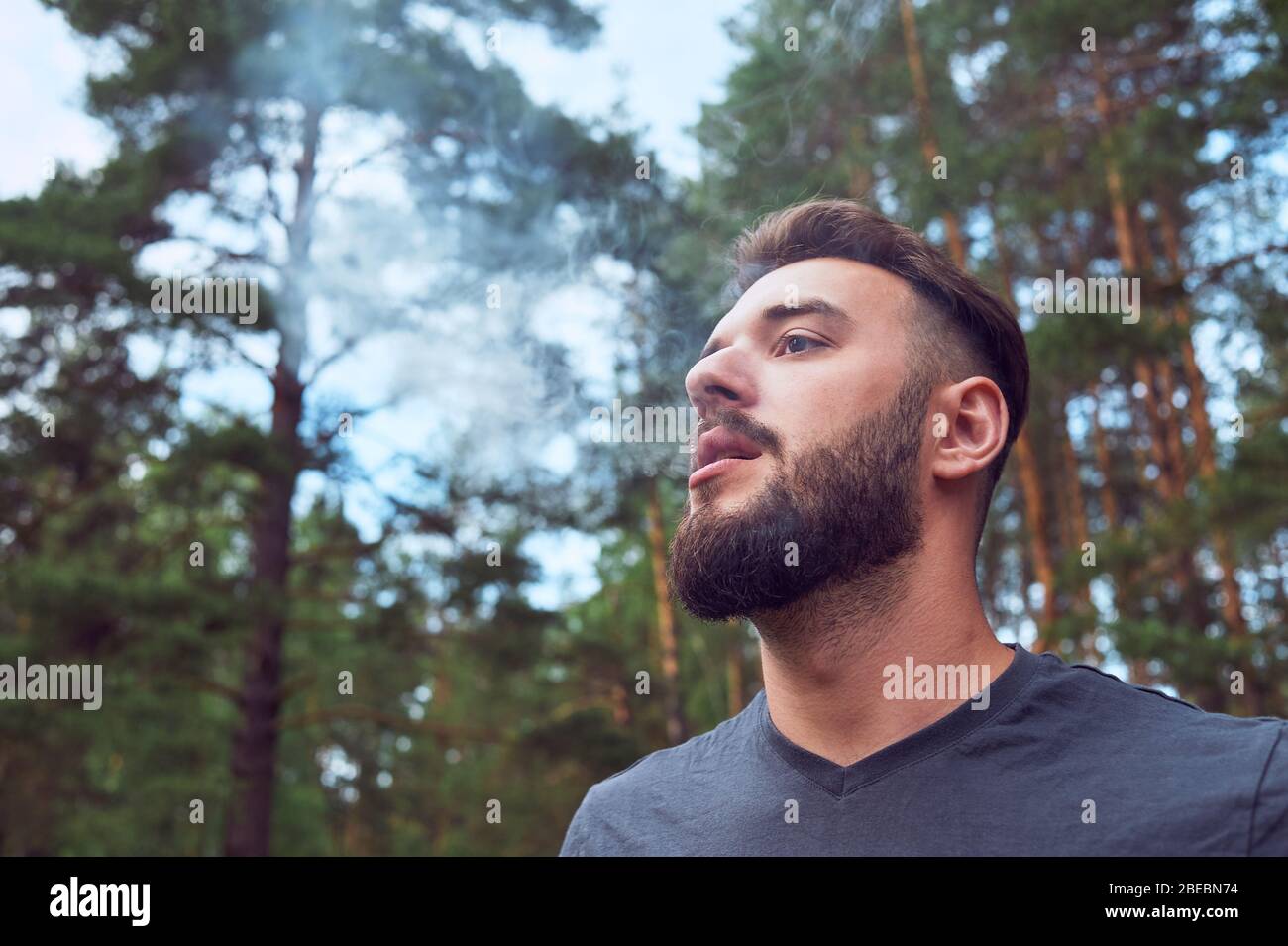 Portrait d'un jeune homme barbu, sur, sur fond de faune. Le concept de l'expédition, de l'aventure et de la vie de camping. Banque D'Images