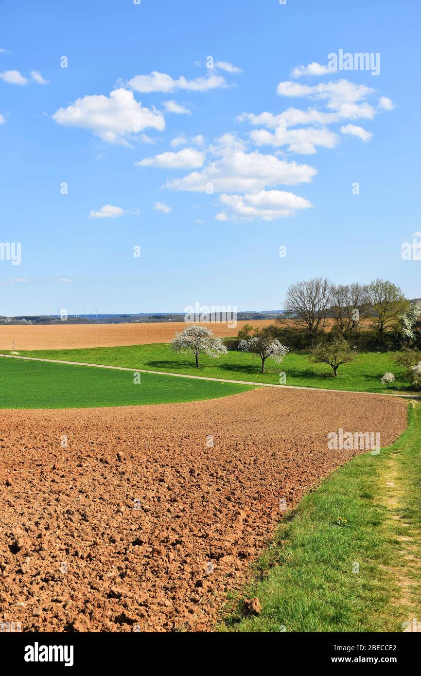 Campagne en Allemagne au printemps Banque D'Images