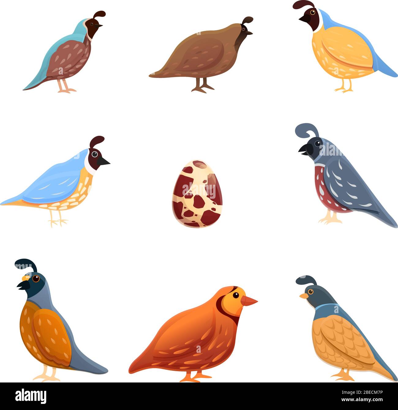 Jeu d'icônes Quail. Ensemble de dessins animés d'icônes vectorielles de caille pour la conception de Web Illustration de Vecteur