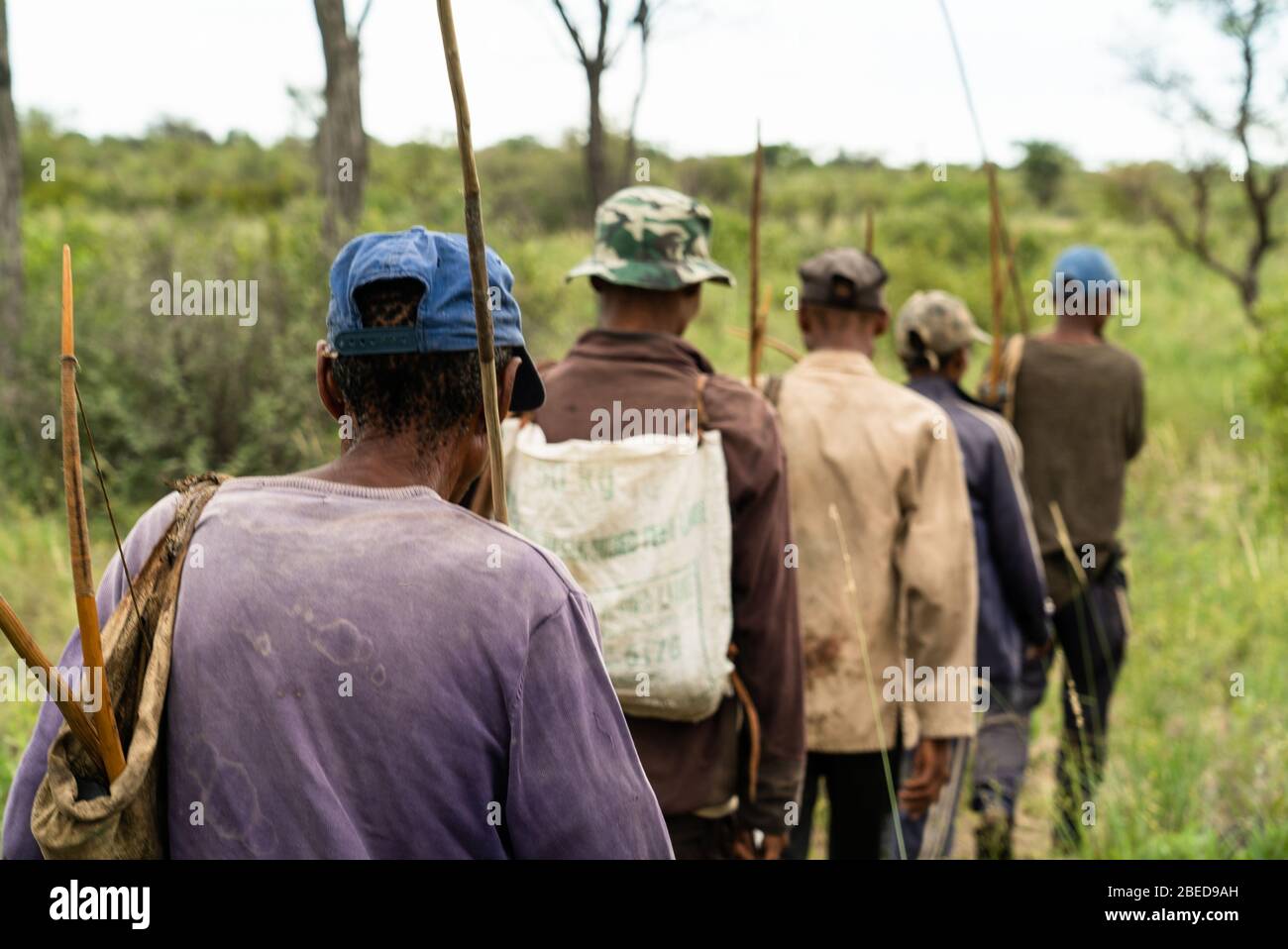 Les hommes JU/hoansi se sont mis à la chasse d'une journée pour trouver de la nourriture pour le village en utilisant des épines et des arcs et des flèches. Nyae Nyae, Namibie. Banque D'Images