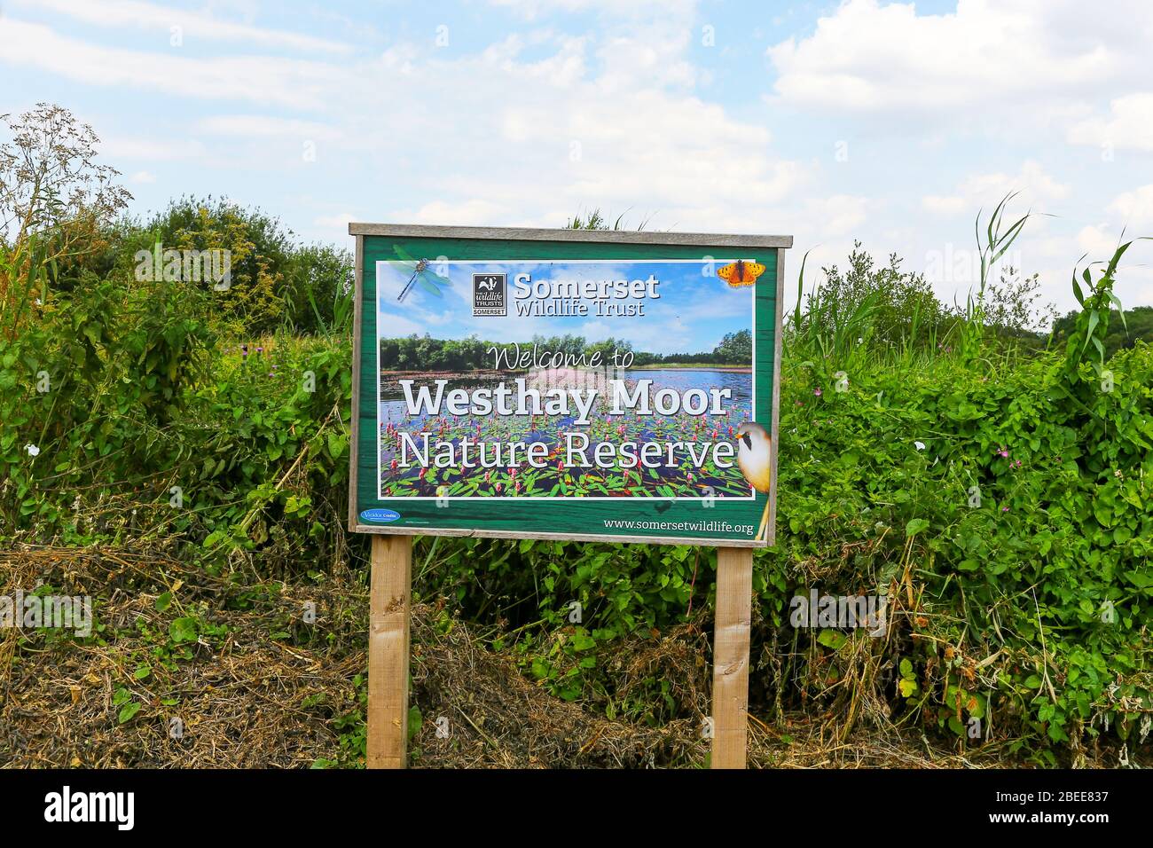 Un panneau à Westhay Moor nature Reserve, Somerset, Angleterre, Royaume-Uni Banque D'Images