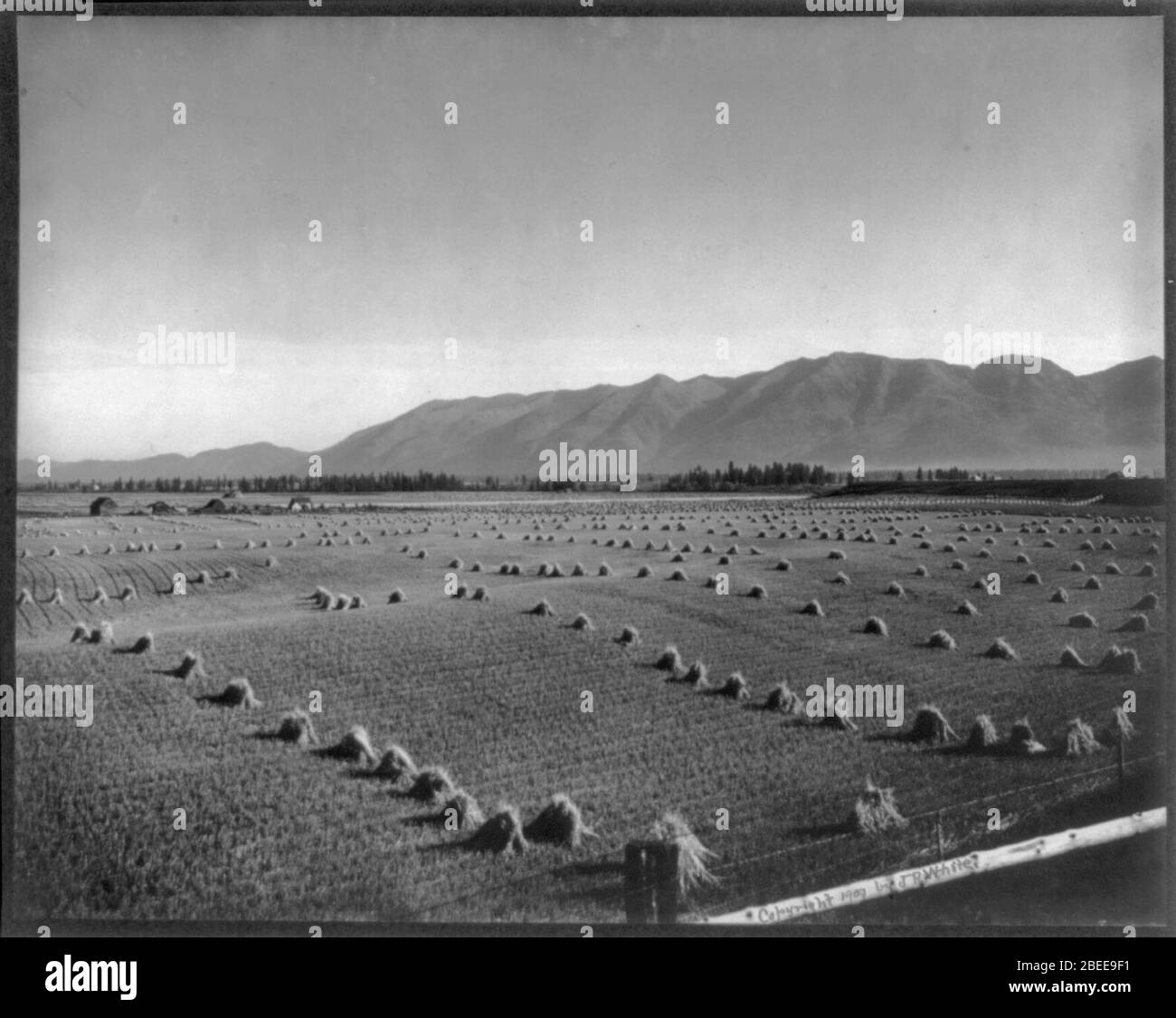 Moment de la récolte, vallée Flathead au Montana Banque D'Images