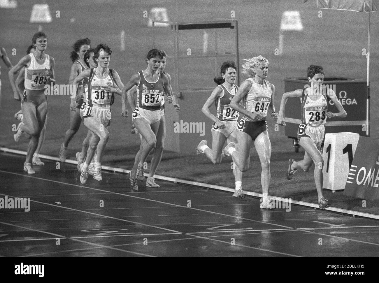 Britains YVONNE MURRAY en tête de la compétition de 3 000 m dans le championnat européen de Stuttgart avant Rumaïan Maricica PUICA et le gagnant Soviet Olga Bondarenco Banque D'Images