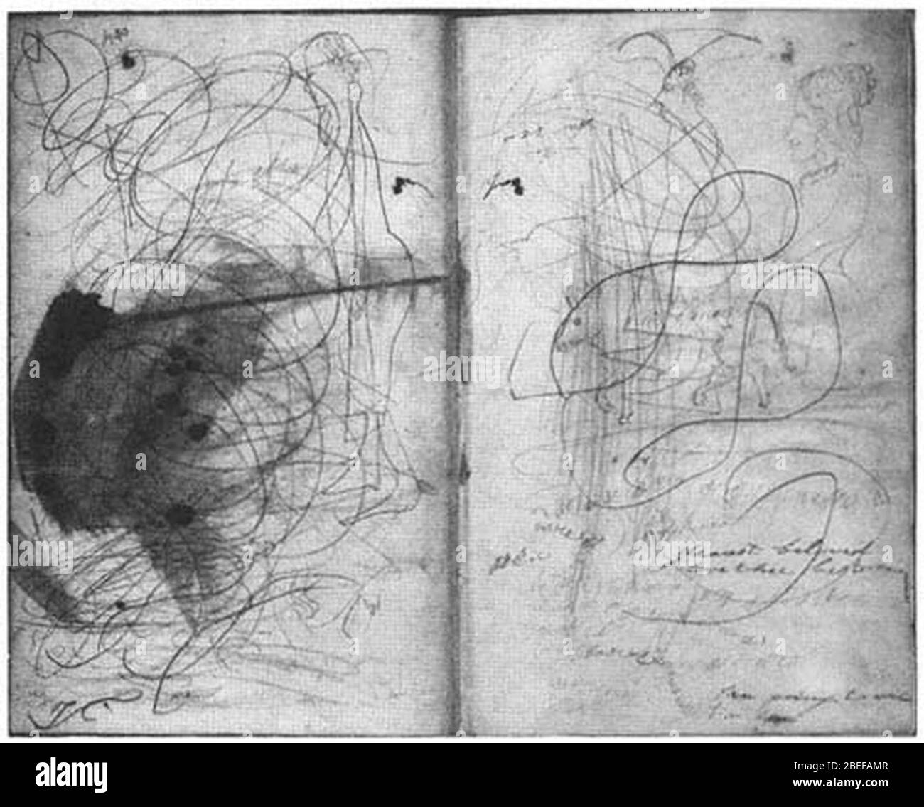 Scribbles Hawthorne. Banque D'Images