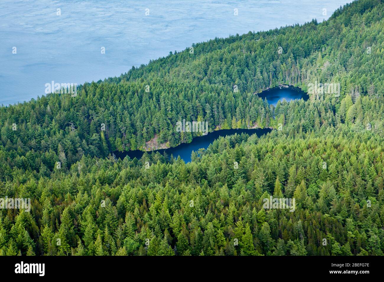 Vue depuis le sommet du mont Constitution, sur Twin Lakes sur l'île Orcas, Washington, partie des îles San Juan. Banque D'Images