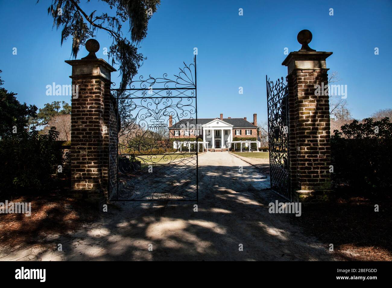 Boone Hall Plantation House, grande entrée, Charleston, Caroline du Sud, États-Unis, Historical images maisons États-Unis Banque D'Images