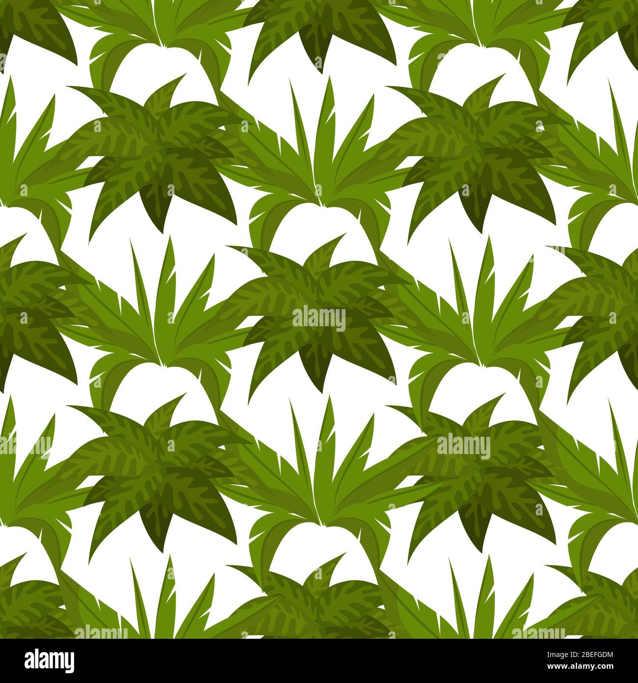 Motif plantes vertes sans couture. Fond nature vert. Illustration vectorielle Illustration de Vecteur