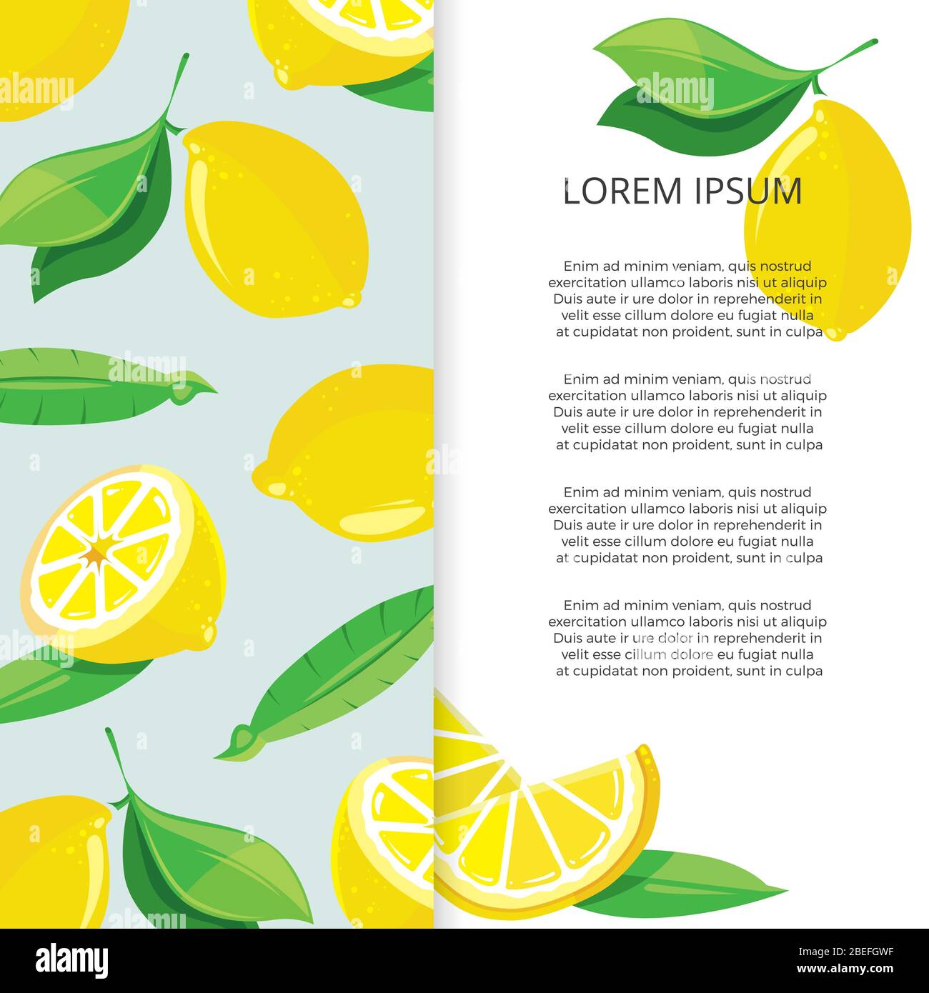 Motif citrons - modèle de citrons colorés à bannière de fruits. Illustration vectorielle Illustration de Vecteur