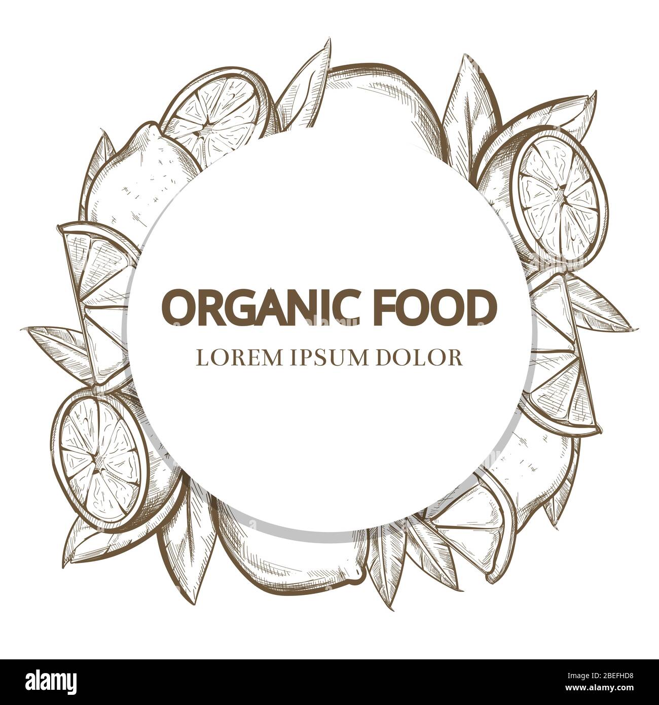 Croquis citrons bannière ronde - affiche de la bannière de nourriture biologique. Illustration vectorielle Illustration de Vecteur