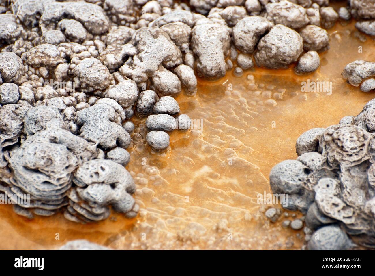 Texture et motifs abstraits formés à la fois par les bactéries thermophiles et les gisements minéraux des sources chaudes et des geysers du parc national de Yellowstone. Banque D'Images