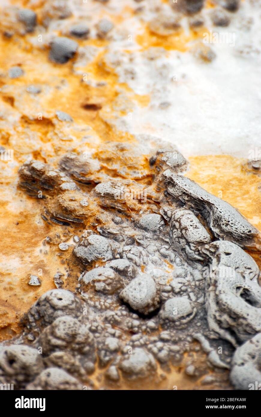 Texture et motifs abstraits formés à la fois par les bactéries thermophiles et les gisements minéraux des sources chaudes et des geysers du parc national de Yellowstone. Banque D'Images