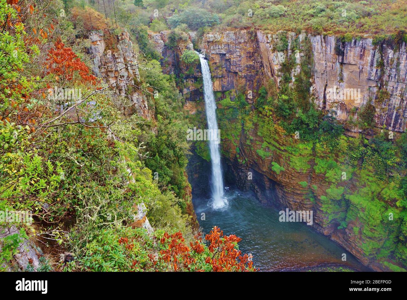 Vue imprenable sur les chutes Mac Mac dans la province de Mpumalanga en Afrique du Sud. Cascade majestueuse entourée d'une belle nature. Banque D'Images