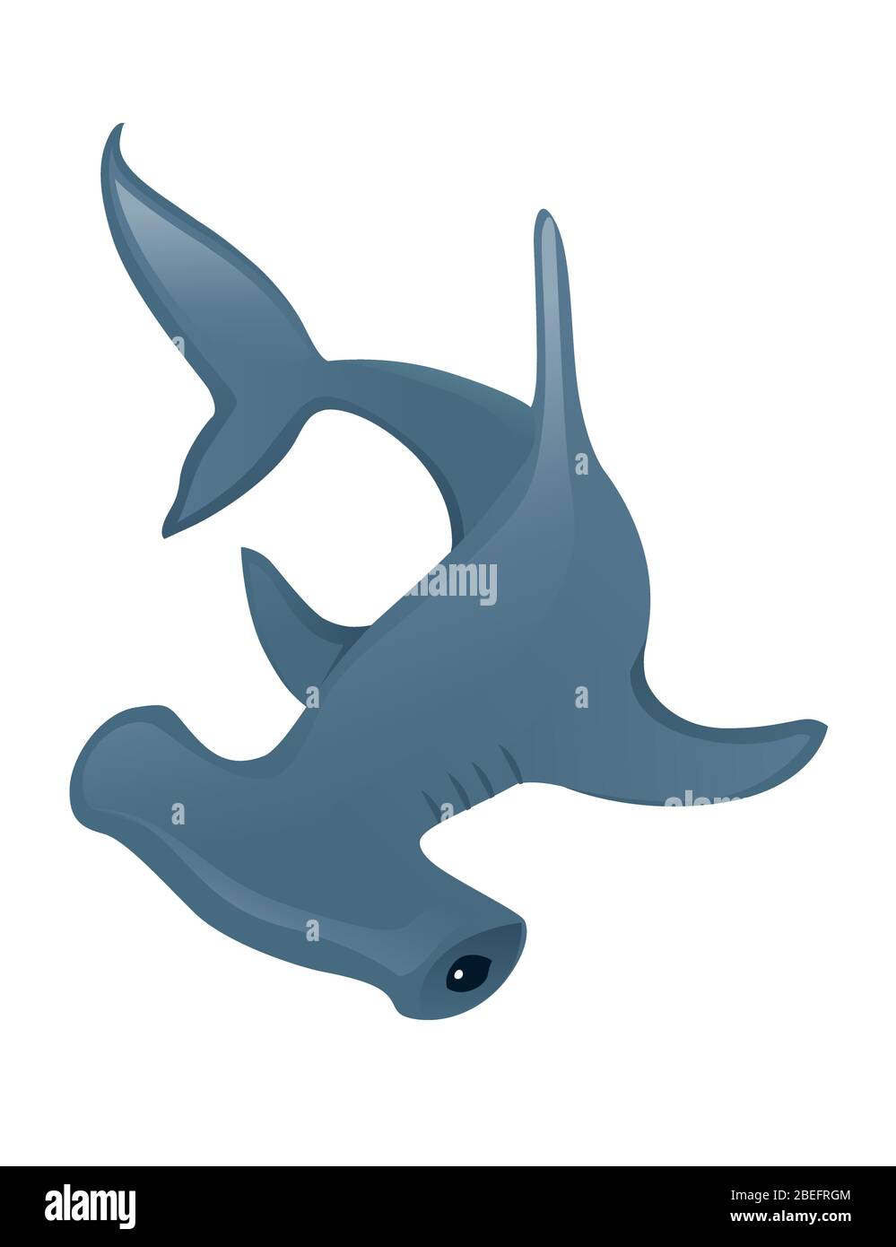 Requin martelé animal géant sous-marin dessin de personnage dessin de dessin animé plat illustration vectorielle isolée sur fond blanc Illustration de Vecteur