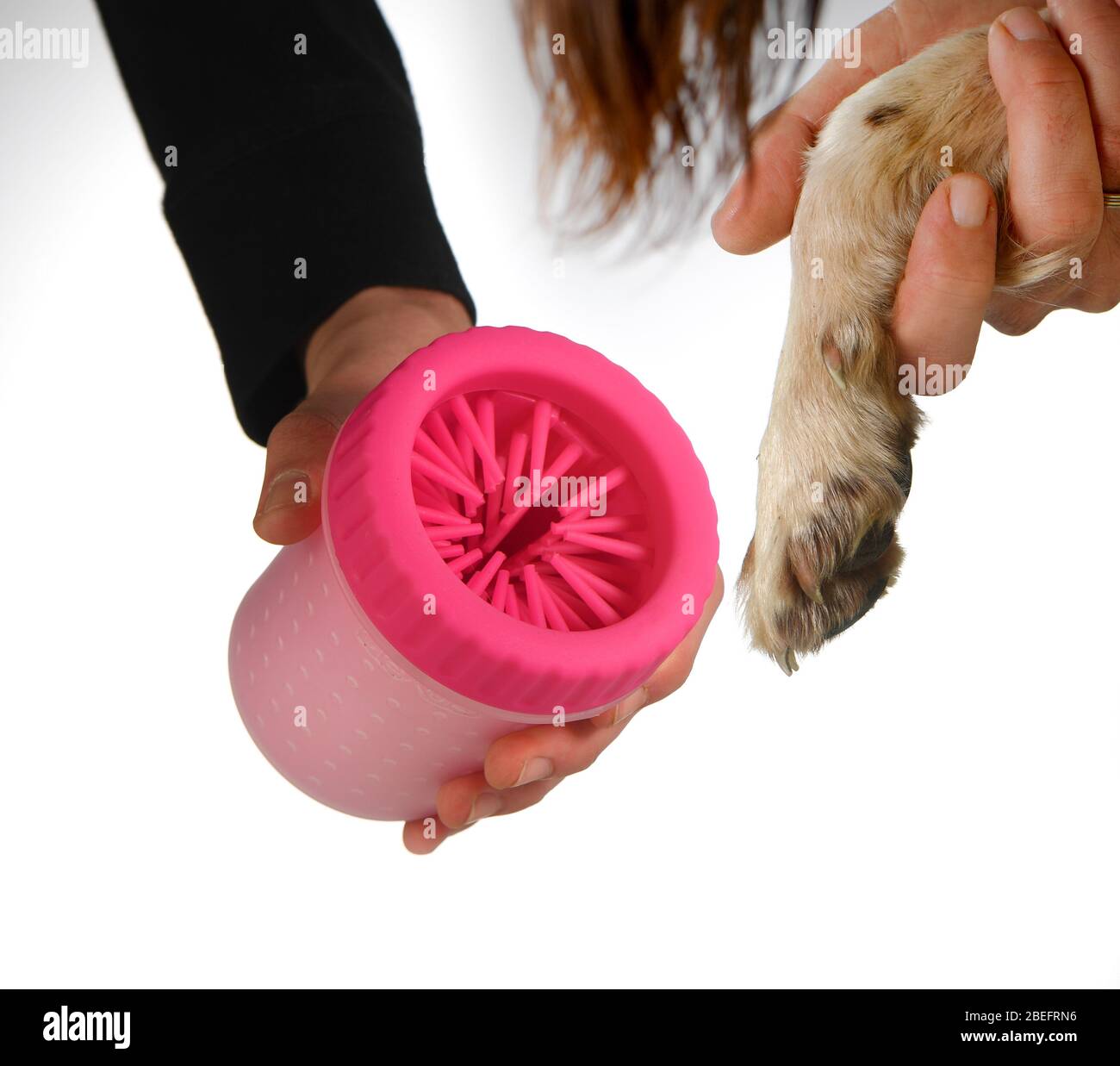 Nettoyeur de patte Banque de photographies et d’images à haute résolution Alamy