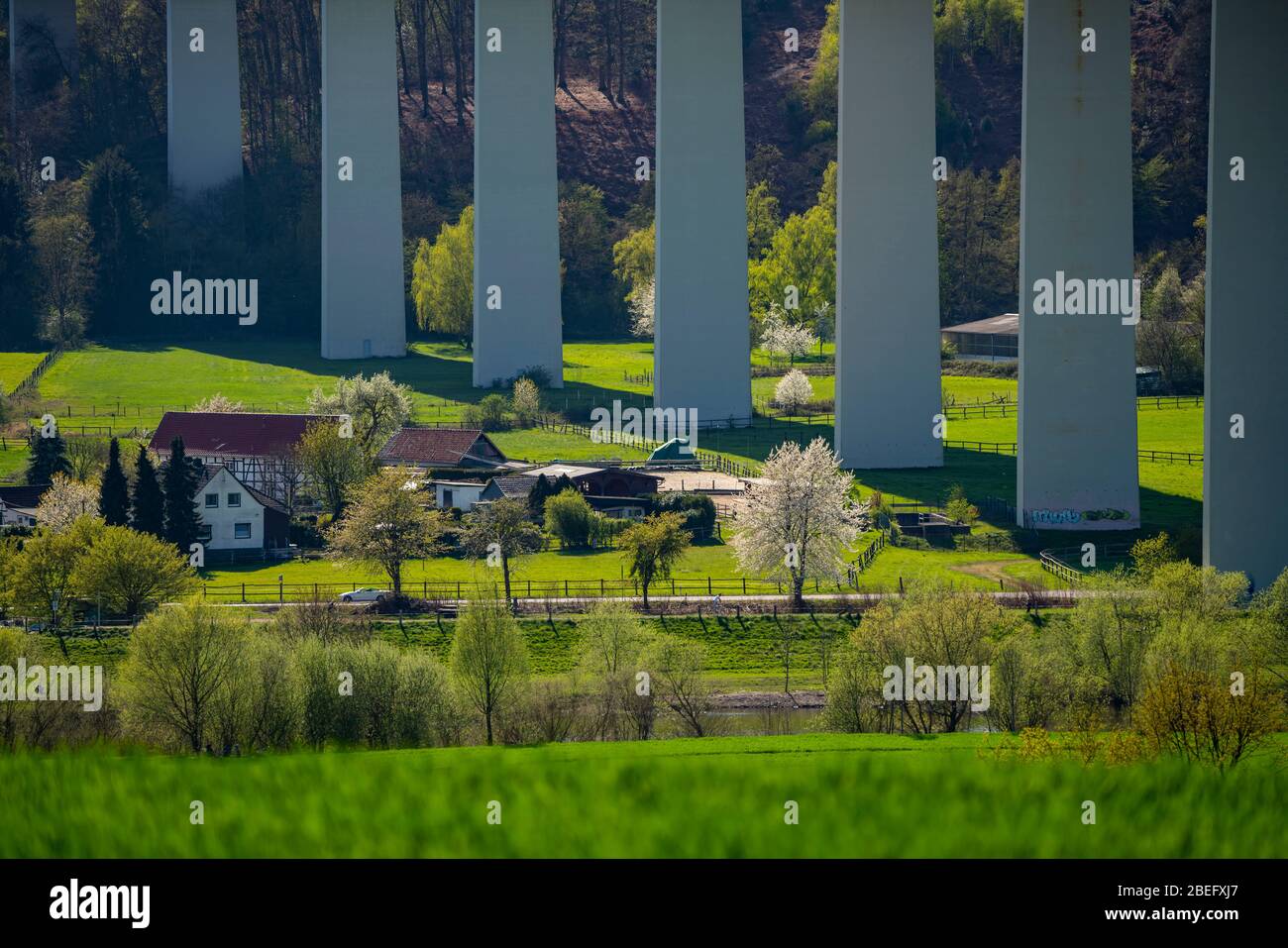 Paysage près de MŸlheim an der Ruhr, district de Mintard, champs au printemps, digue de la Ruhr, pont de la vallée de la Ruhr, Allemagne, Banque D'Images