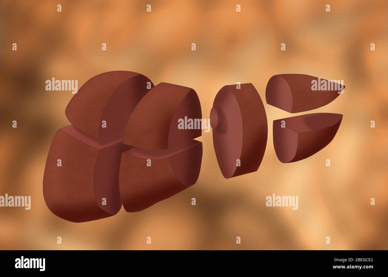 Segments hépatiques, illustration Banque D'Images