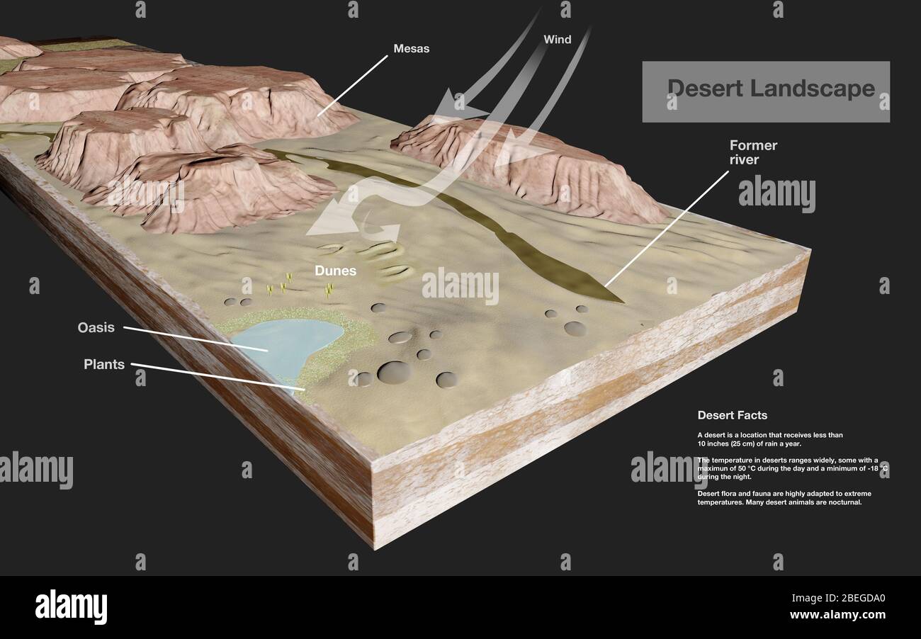 Illustration montrant les caractéristiques géologiques du terrain désertique, ainsi qu'une liste de faits sur les déserts. Banque D'Images