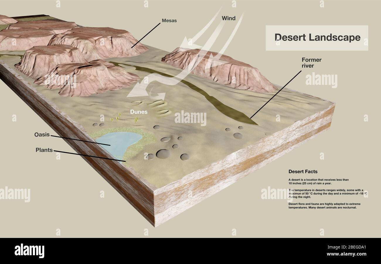Paysage désertique, illustration Banque D'Images