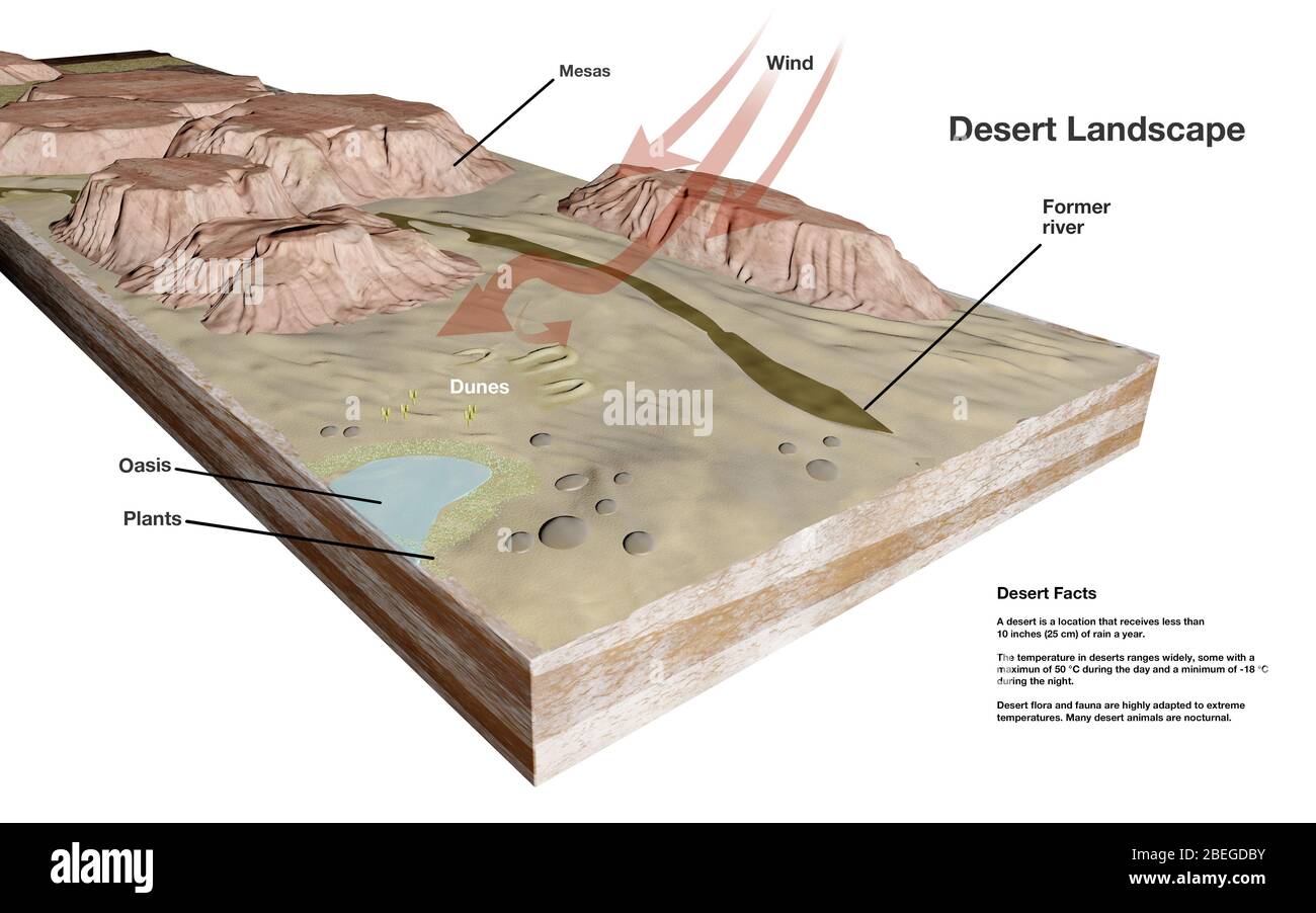 Illustration montrant les caractéristiques géologiques du terrain désertique, ainsi qu'une liste de faits sur les déserts. Banque D'Images