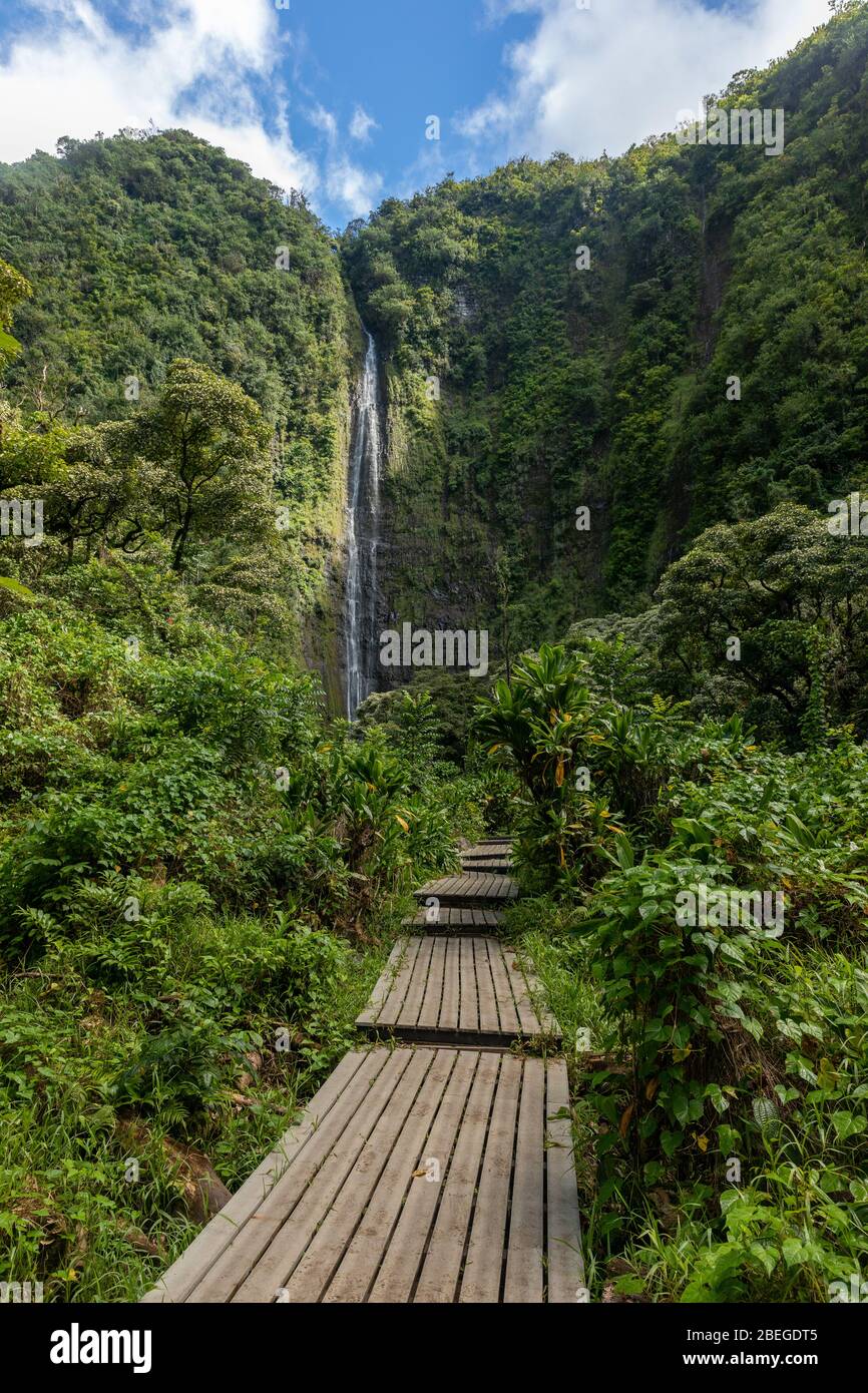 Les chutes luxuriantes de Waimoku sur le sentier Pipiwai Banque D'Images