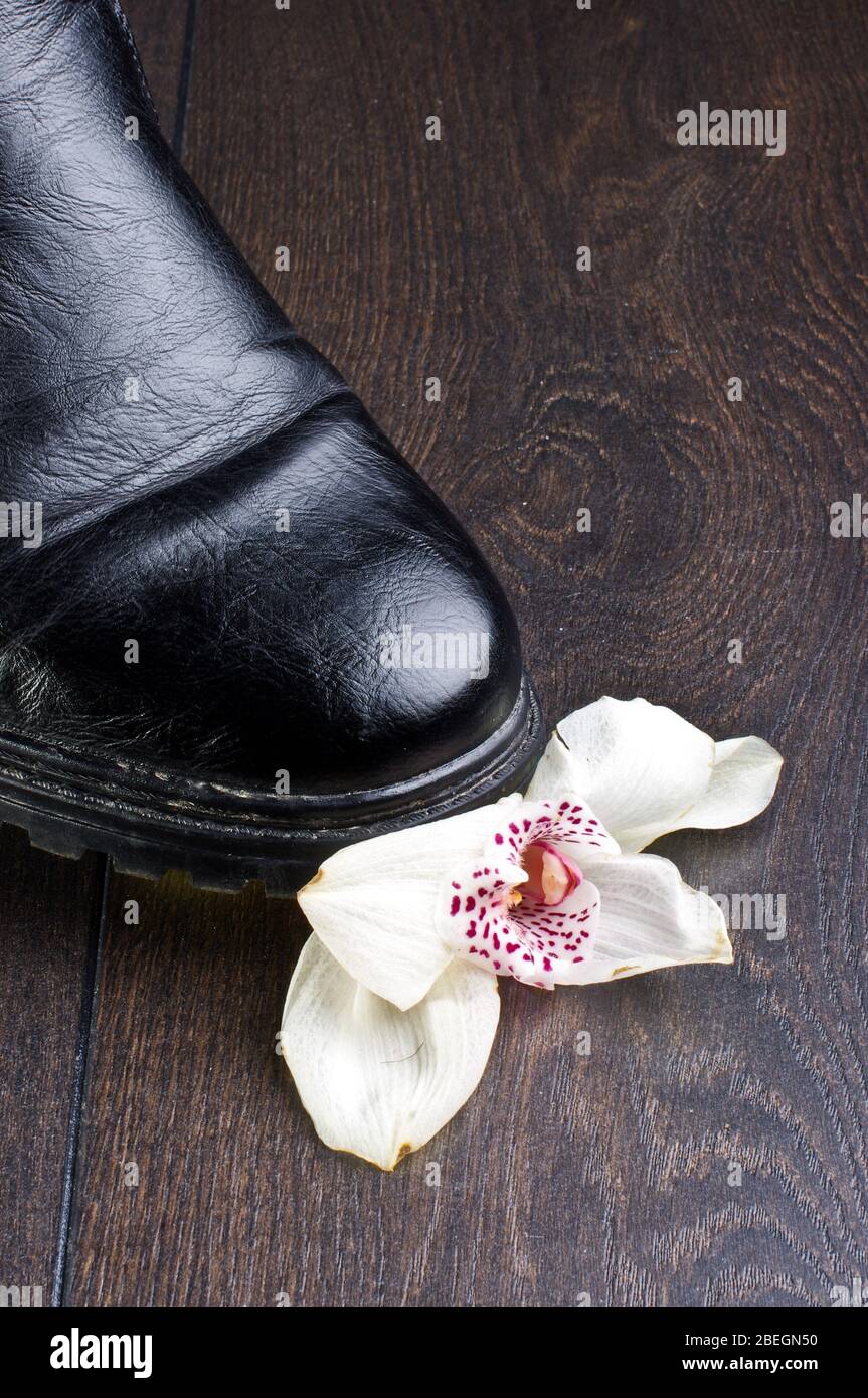 Orchid fleurs s'est écrasé par la chaussure noire en cuir mâle Photo Stock  - Alamy