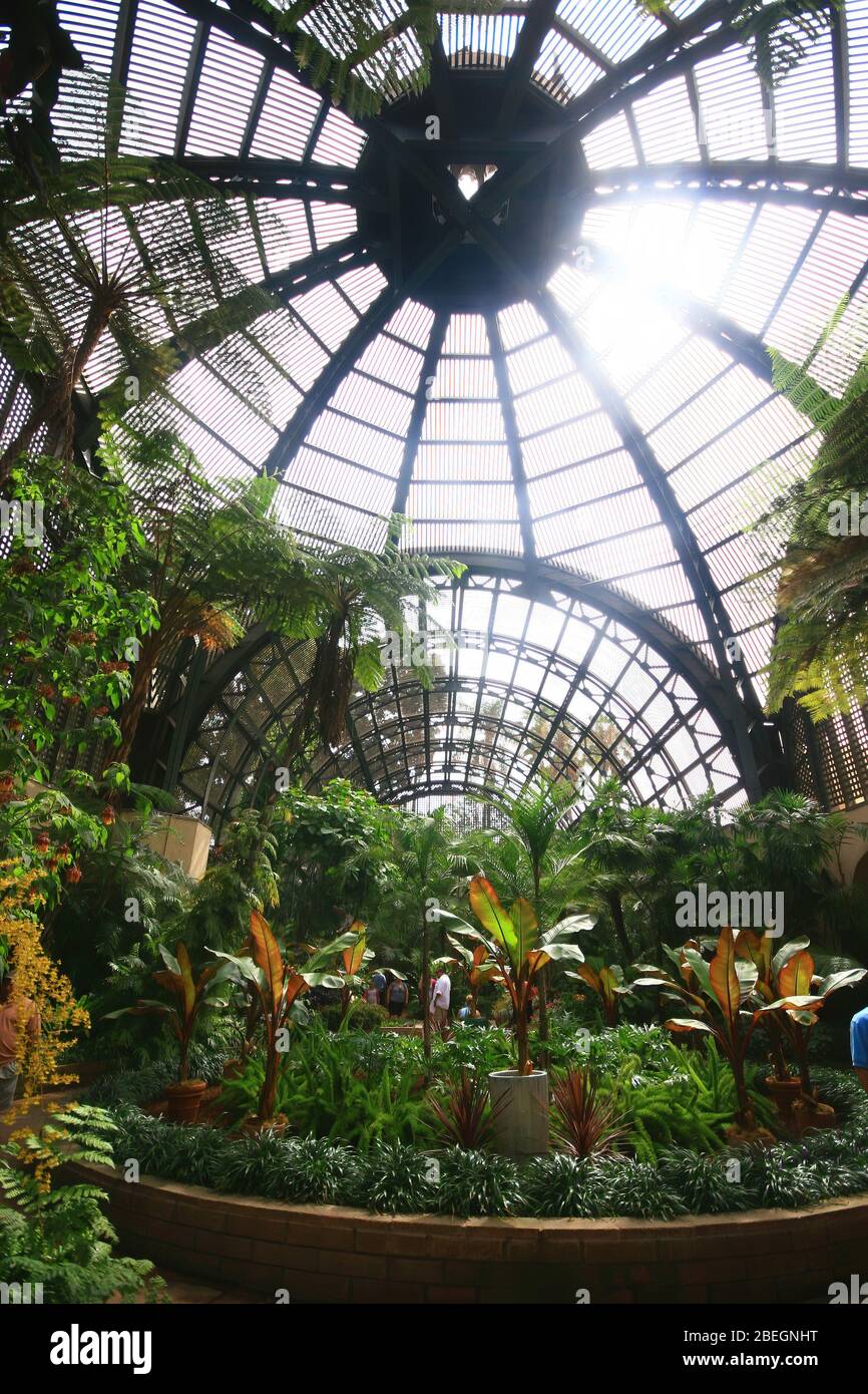 San Diego, 20 AOÛT 2009 - vue intérieure du bâtiment botanique Banque D'Images