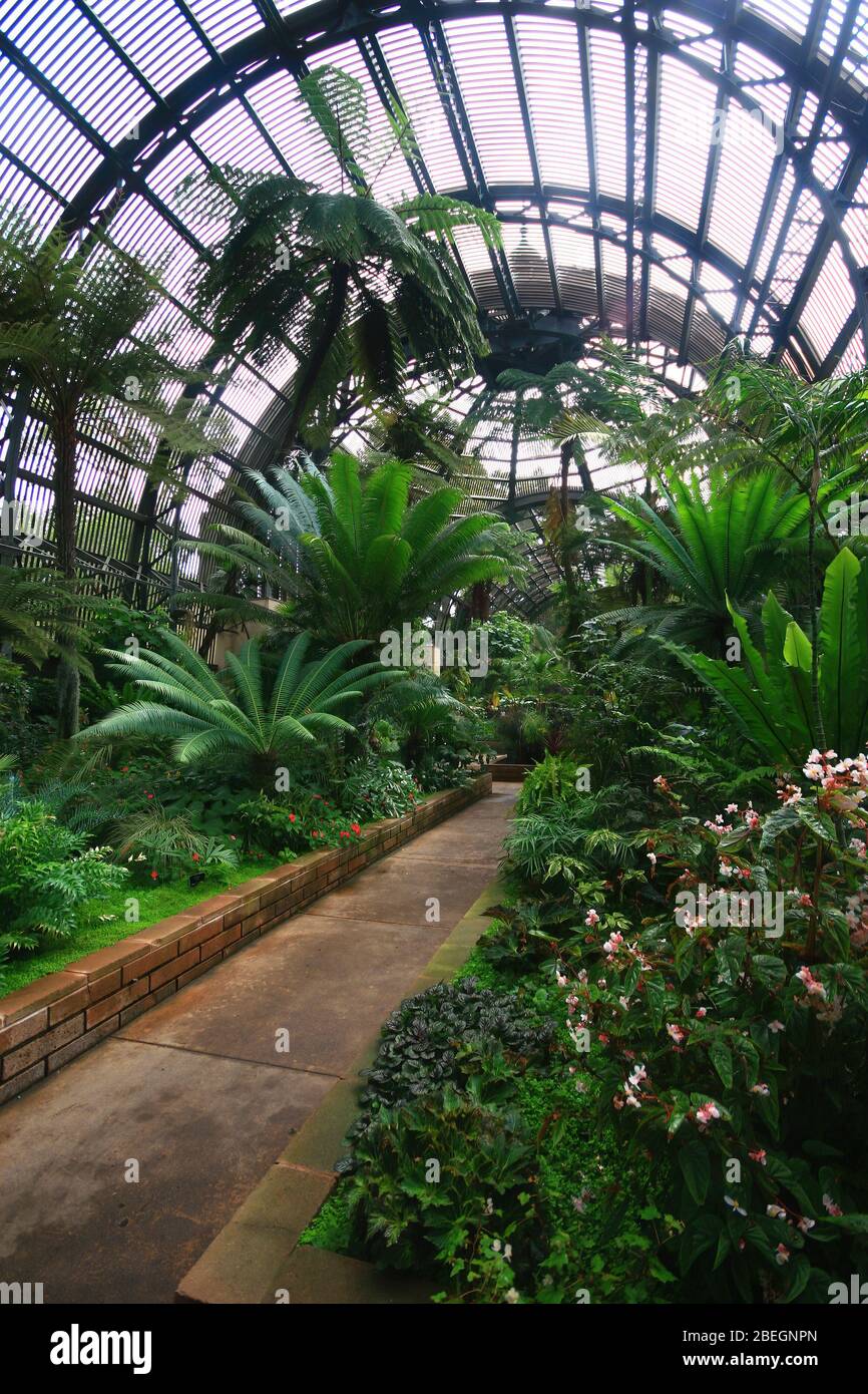 San Diego, 20 AOÛT 2009 - vue intérieure du bâtiment botanique Banque D'Images