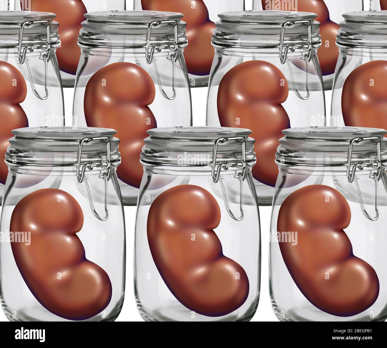 Reins de rechange Banque D'Images