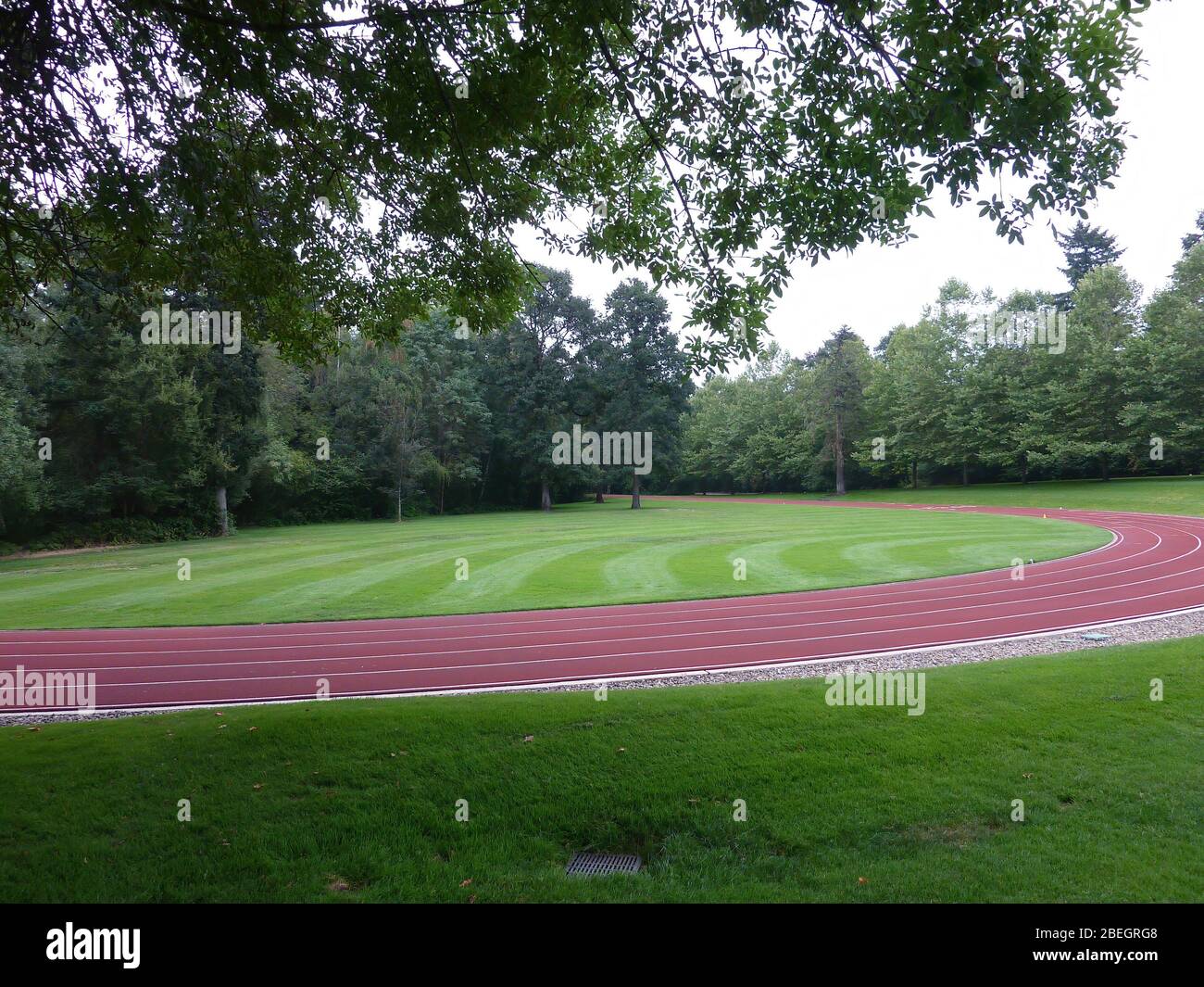 michael johnson track nike